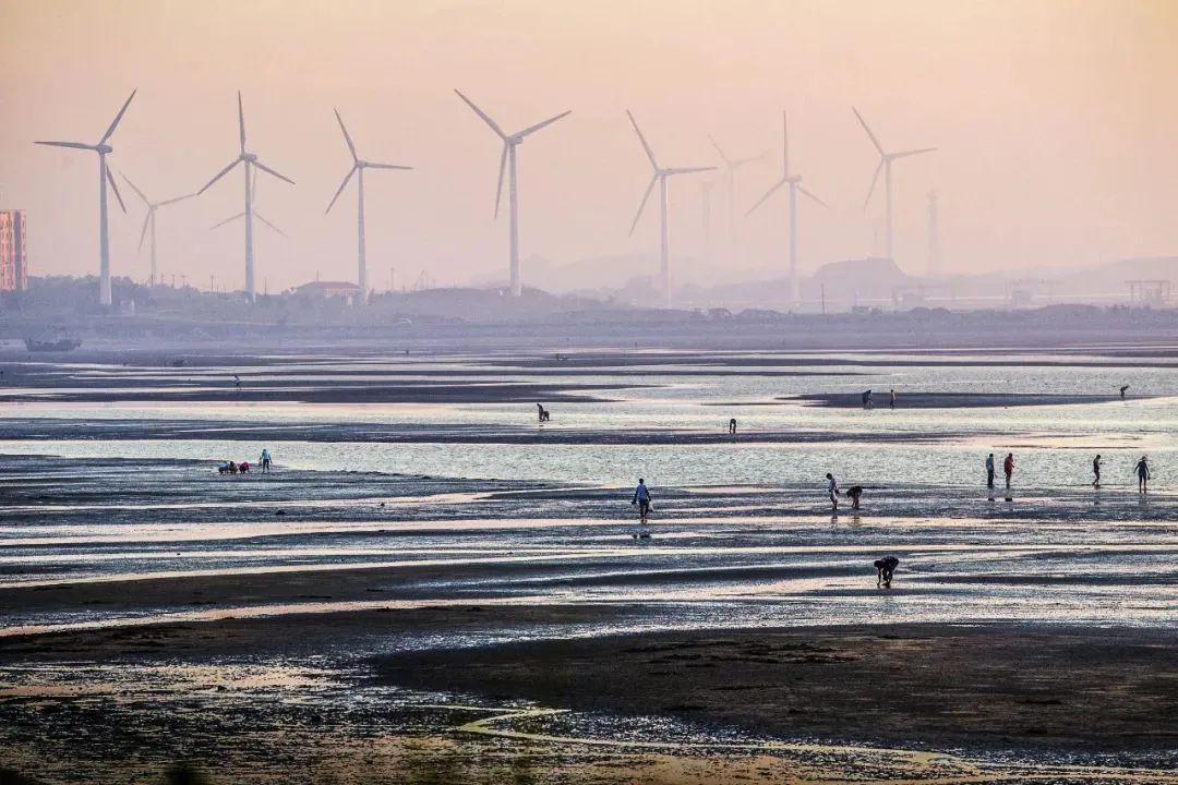 白沙湾黄金海岸图片