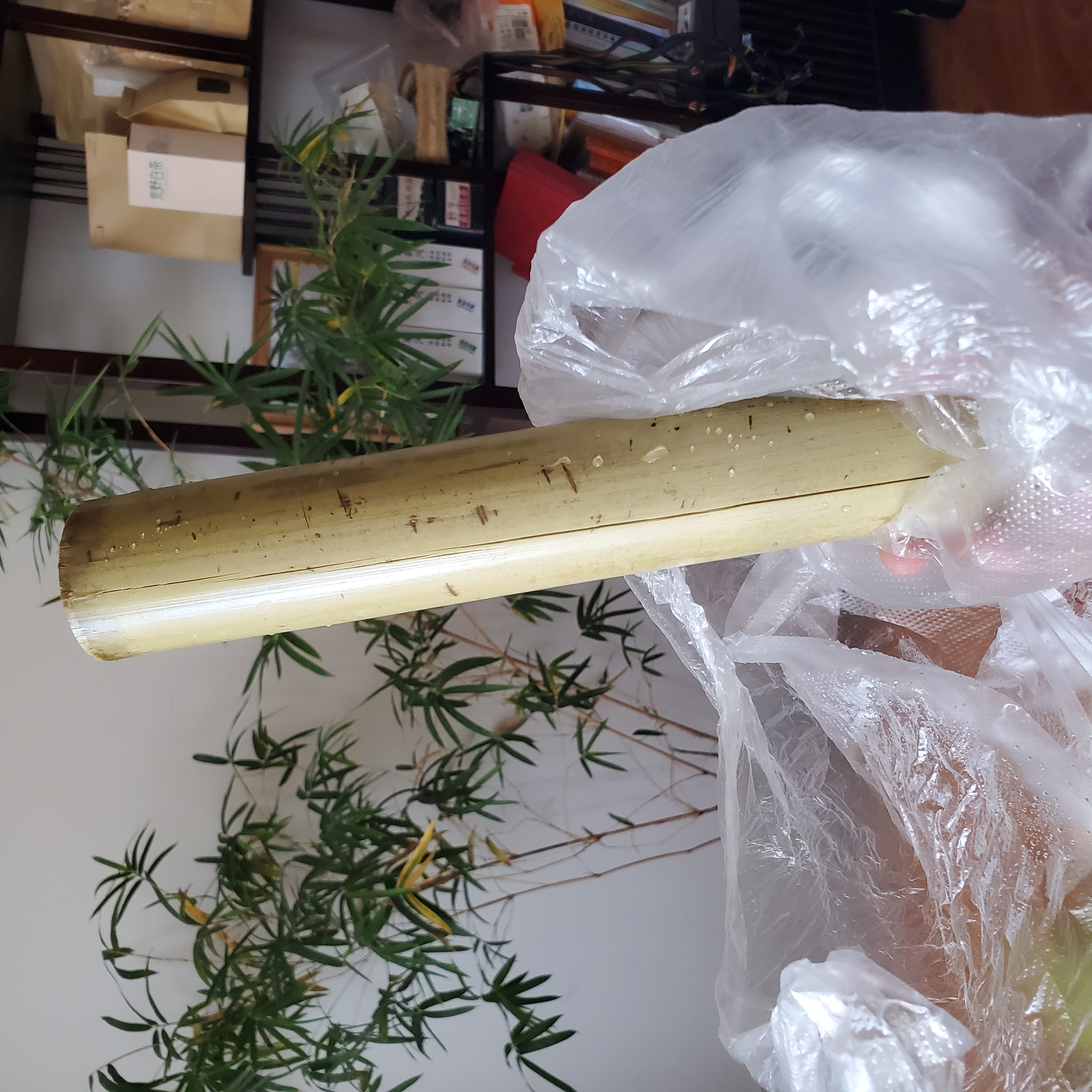 笑死,去朋友茶室,看到他兄弟和一哥们,在他的卧榻上