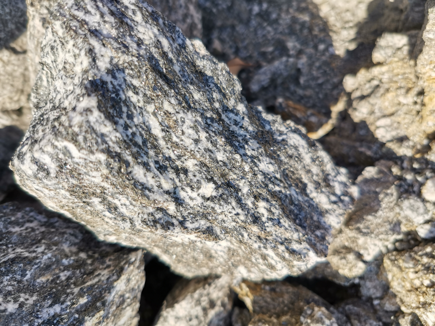 扬子地台结晶基台—黑云斜长片麻岩