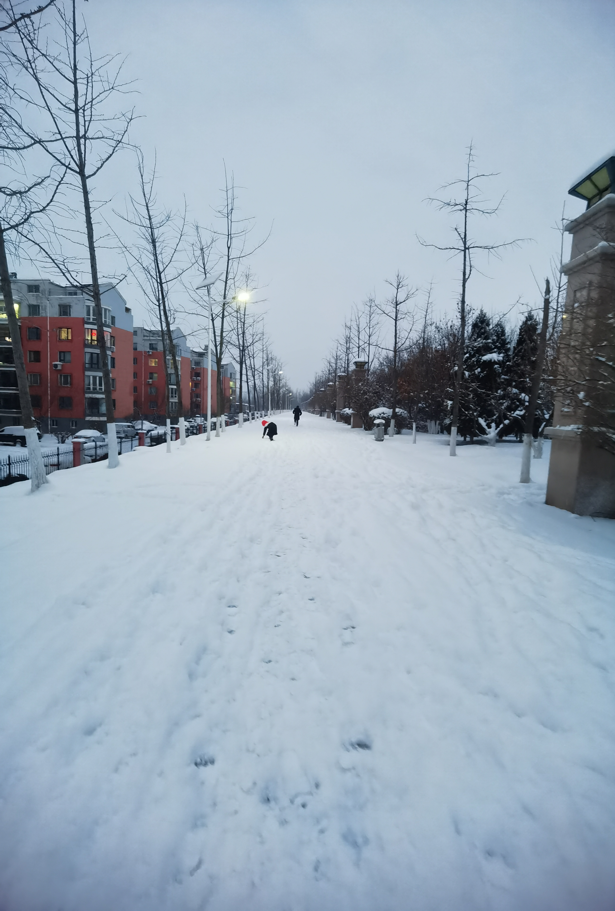 锦州雪景图片