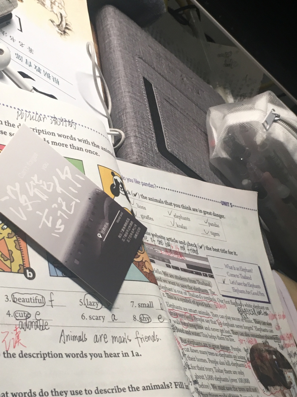 love rises and sets 爱意东升西落 romantic till death 浪漫至死不