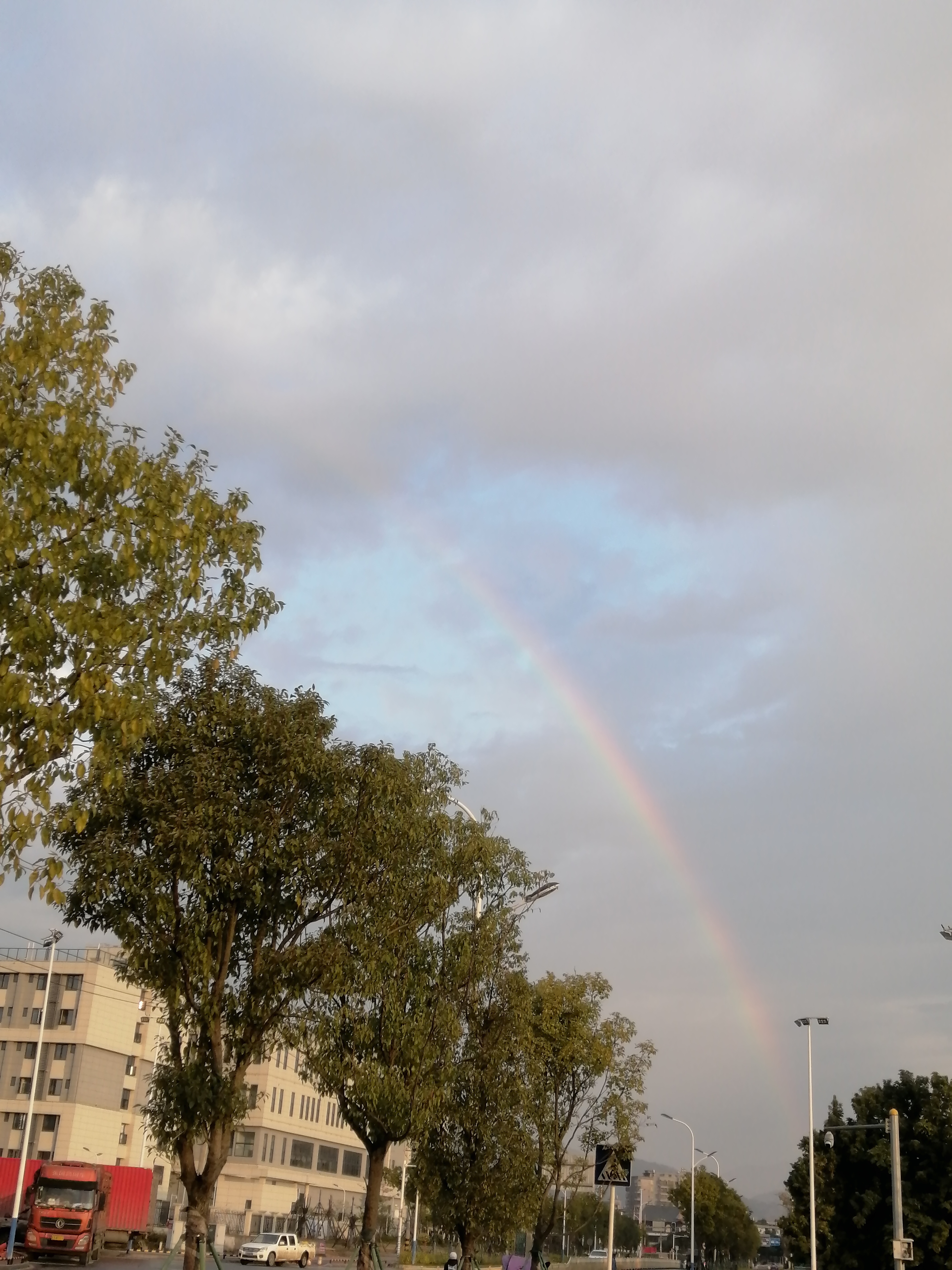 人们常说风雨过后见彩虹,可彩虹往往出没在云雾中.