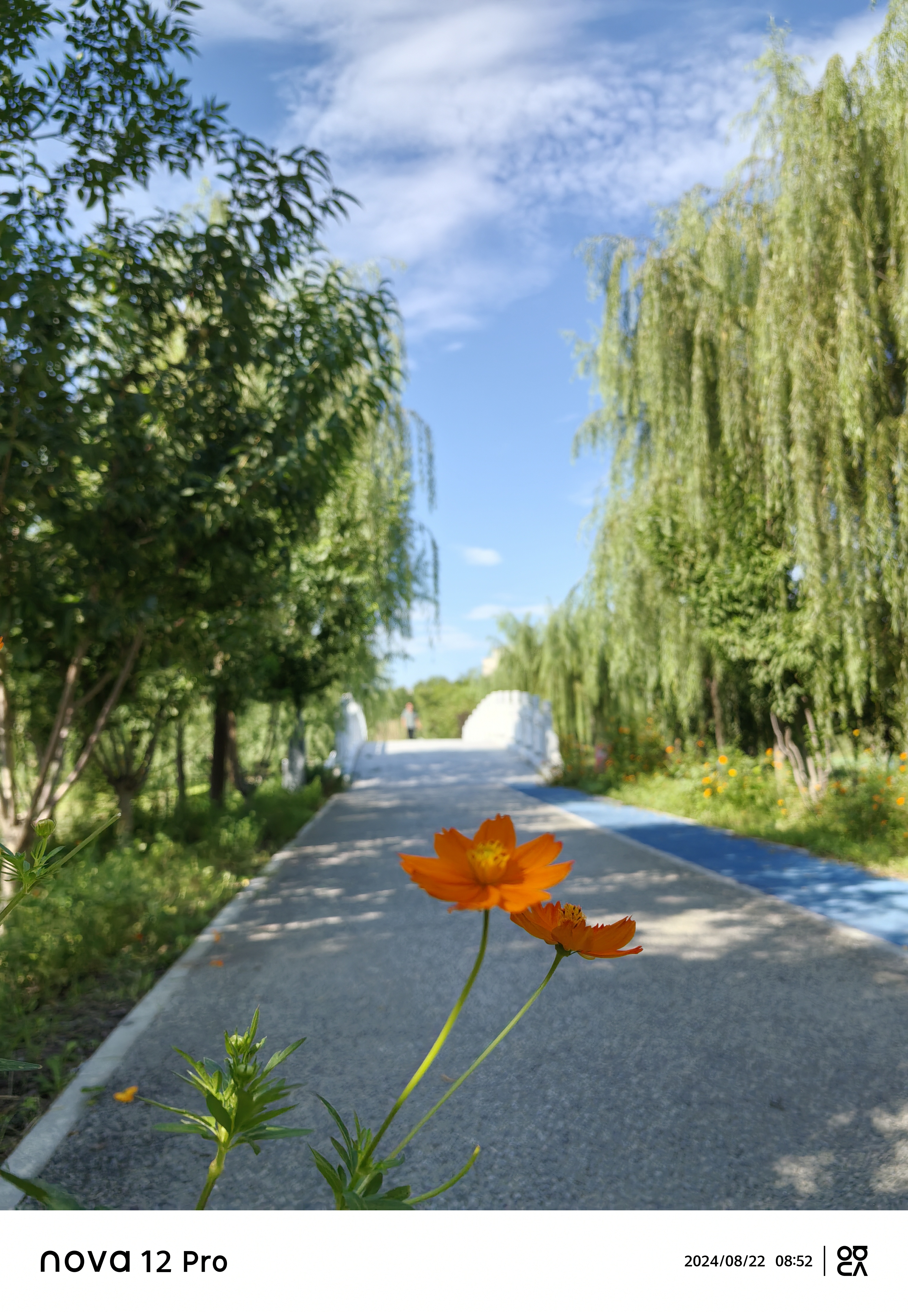 北京南苑湿地公园图片