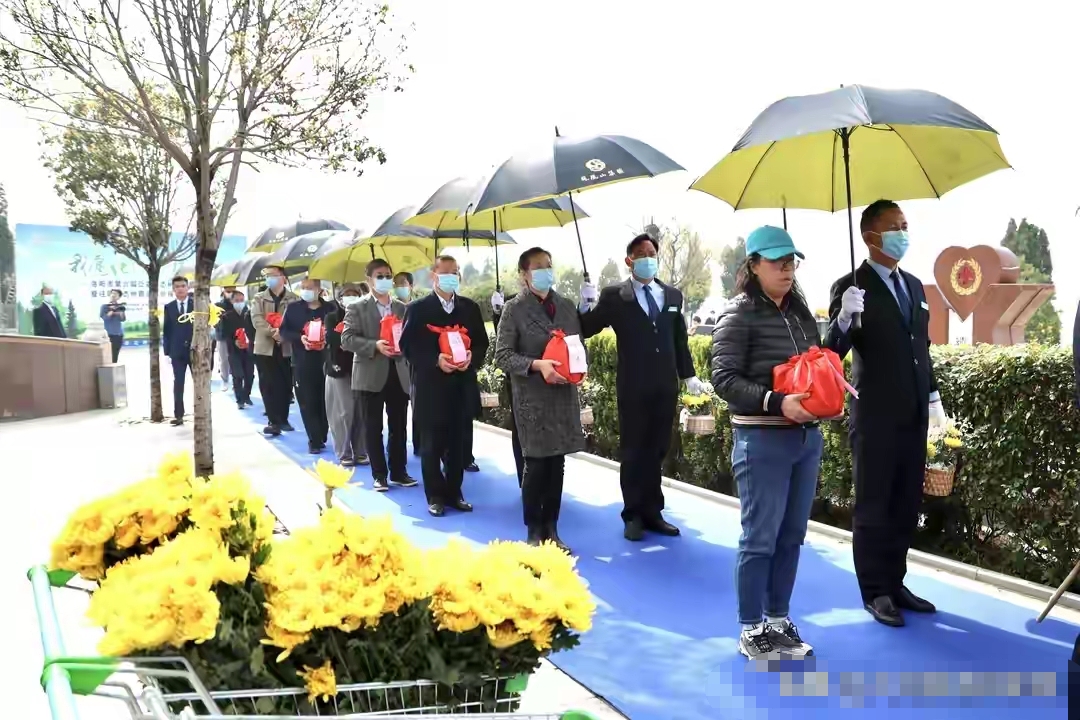 《洛阳一家陵园推出免费树葬,7年里有141位先行者长眠于此》,刚看到