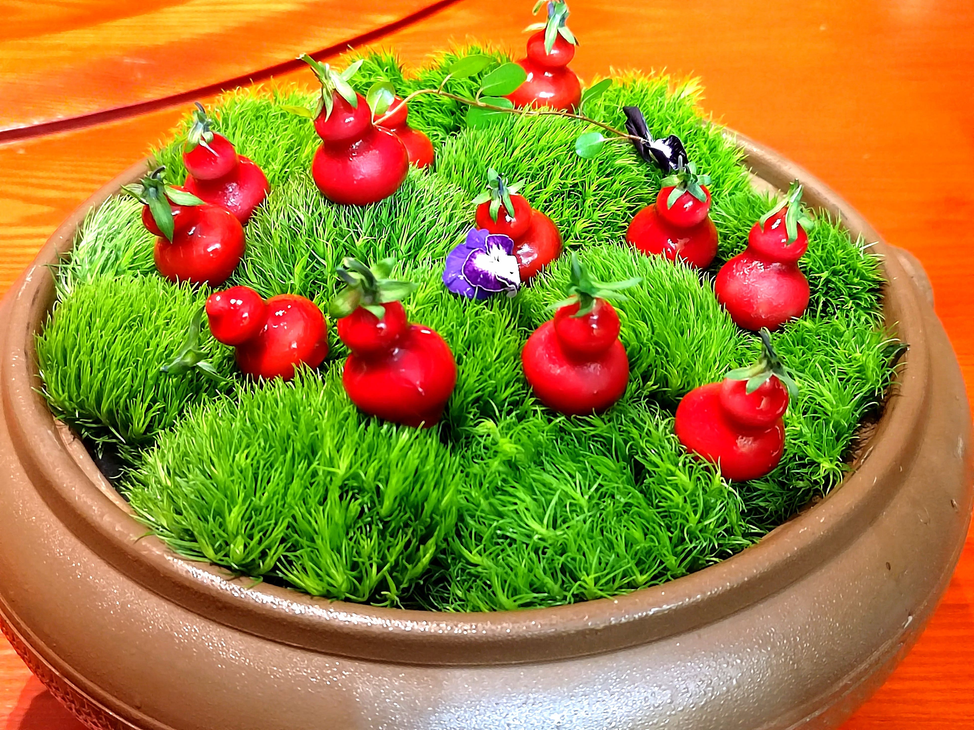 美食# 昨天晚上,我们品尝了禧云滇汽锅王一桌子的汽锅宴,这家在建水