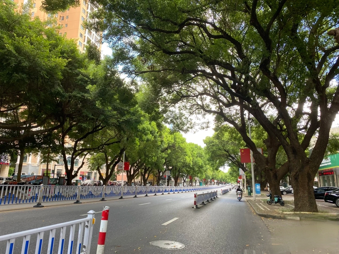 广西北海,这条街道.像是宫崎骏漫画里的场景一般,美轮美奂