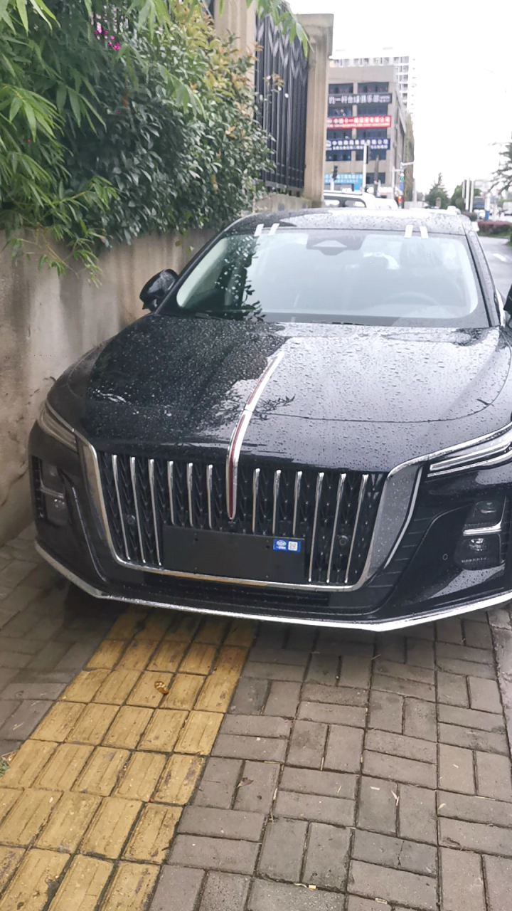 偶遇新款红旗h5,忍不住下车偷拍啦!