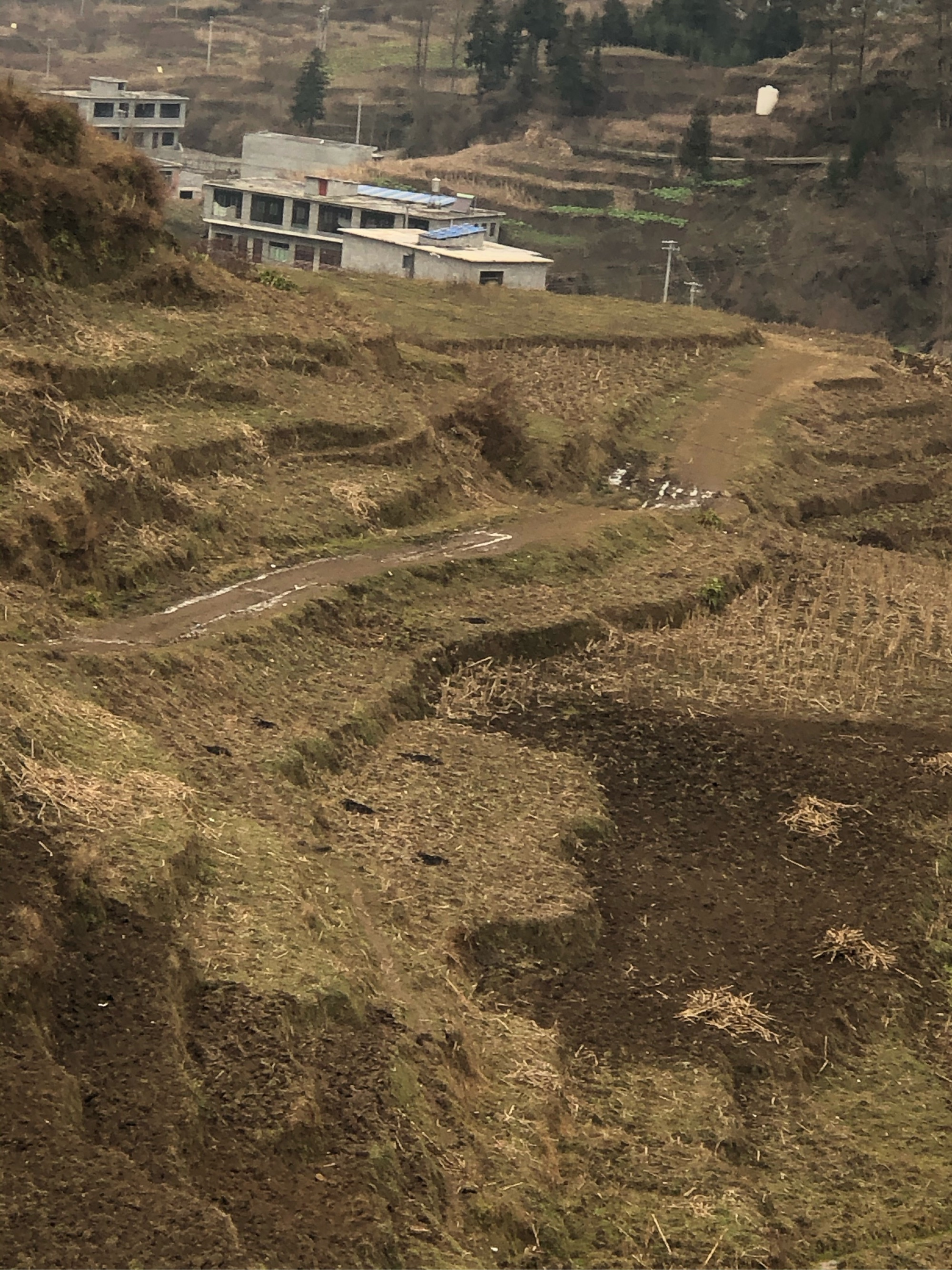 贵州省纳雍县中岭镇大坪村大寨组,这么多年的乡村公路没铺水泥路是