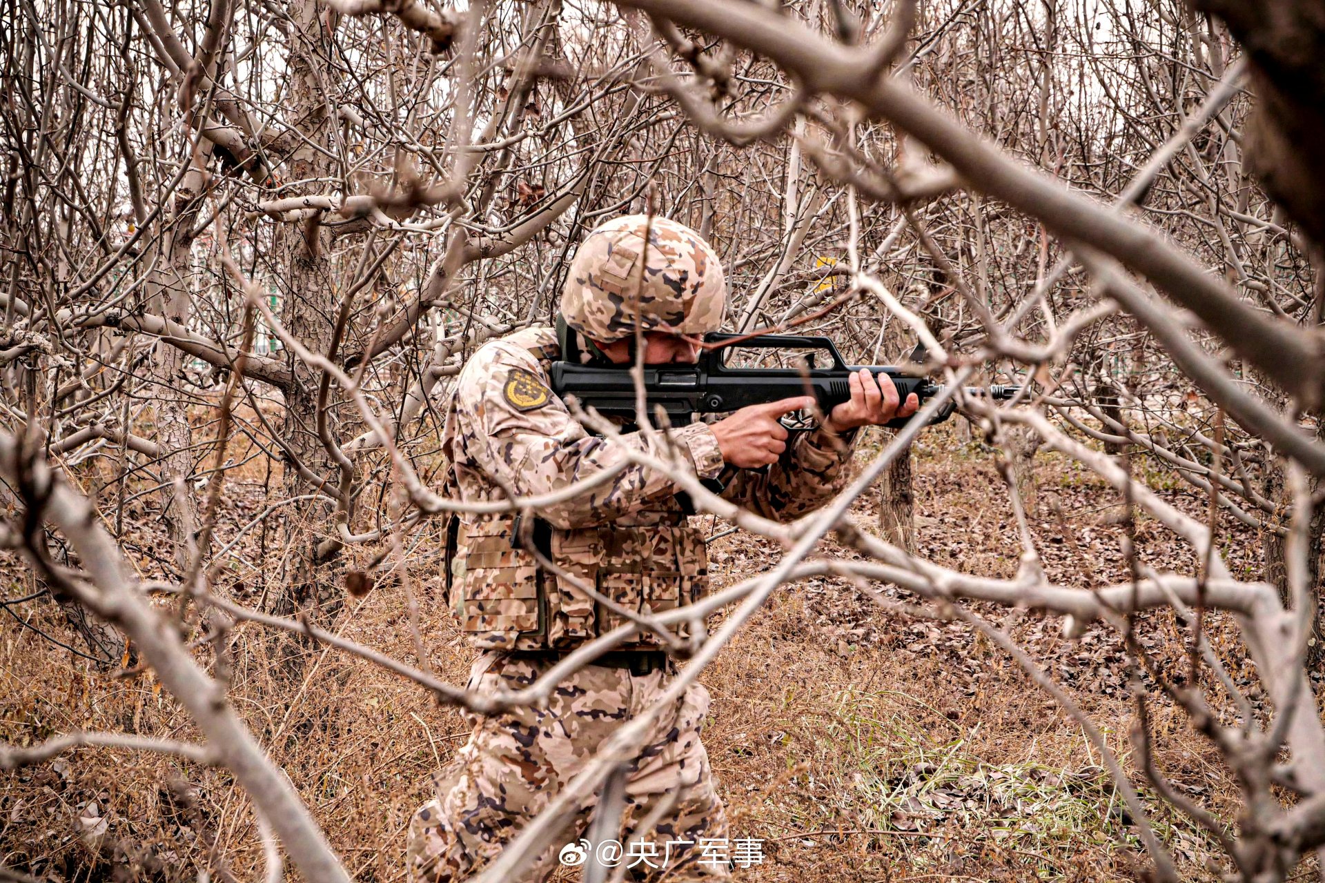 同样是冬季荒漠迷彩作训服,同样是小翻领版,同样是21式通用作训服,有