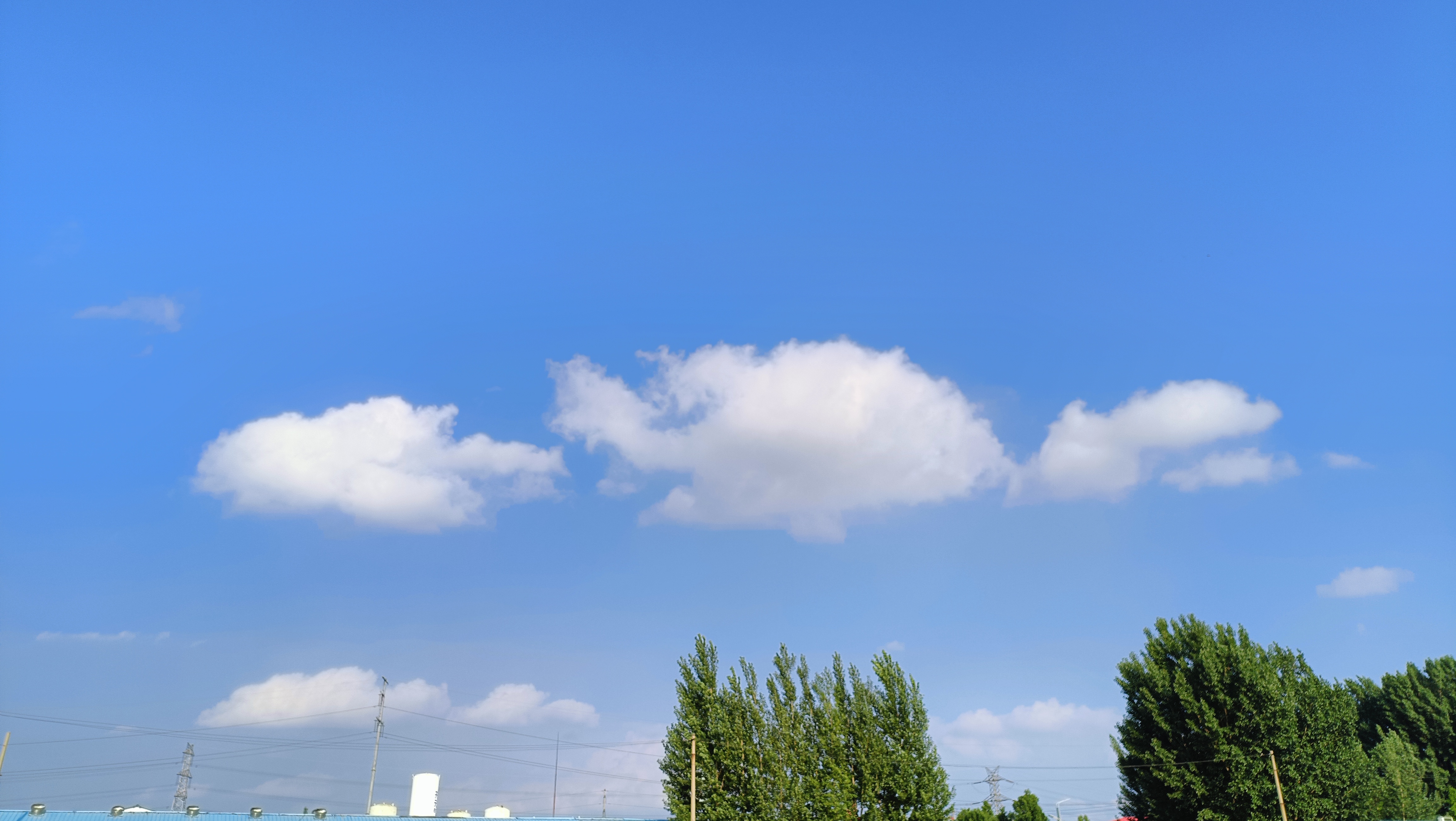 下午的天空是一场奇幻的盛宴,心形的云与动物形状的云交相辉映.