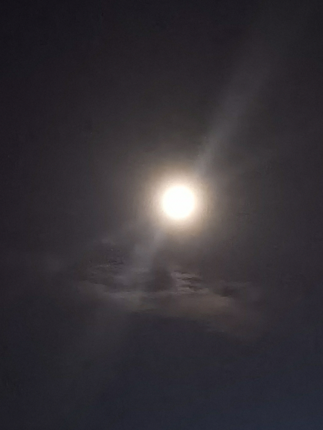 凌晨五点的月亮,算是我的老朋友了,陪伴了我不知道多少夜晚,忽然想学