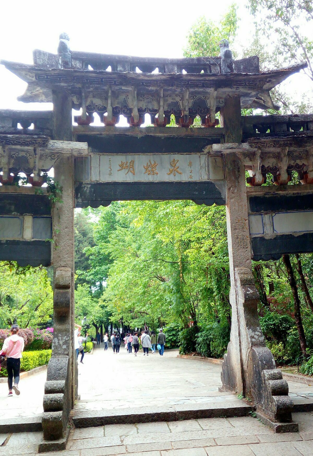 蝴蝶泉是因为电影《五朵金花》而闻名天下,其实,早在300多年前,徐霞客