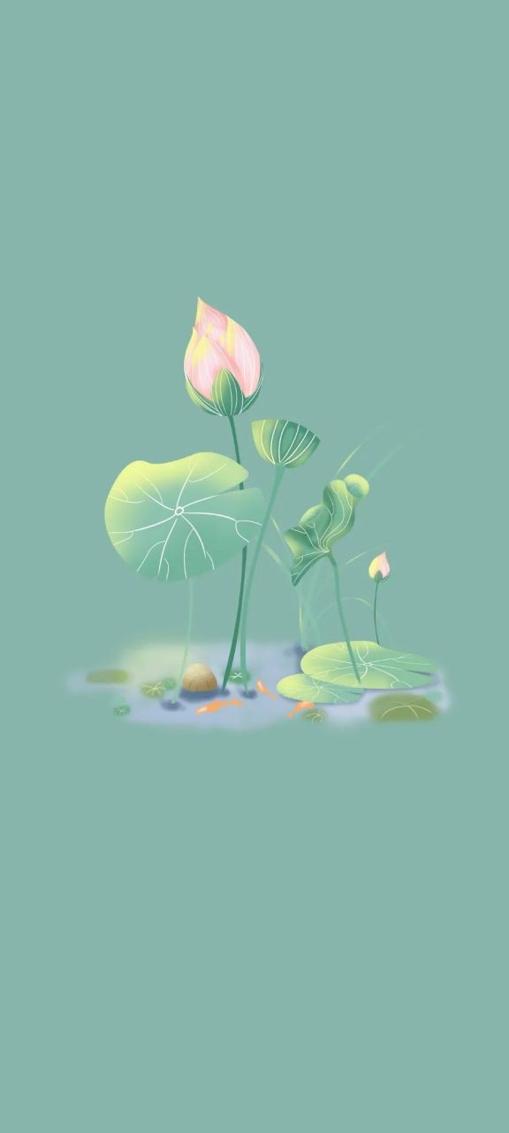 分享图片:夏日荷风,荣幸之至!