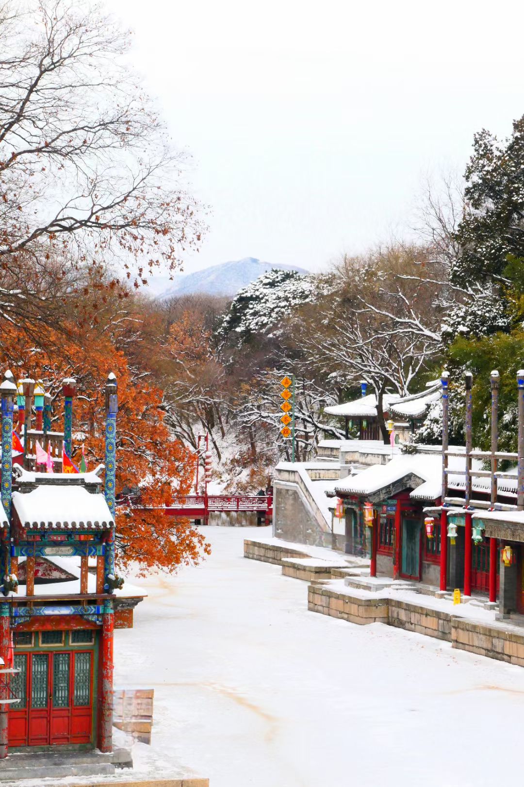 冬天的颐和园,万木凋零,寒气逼人