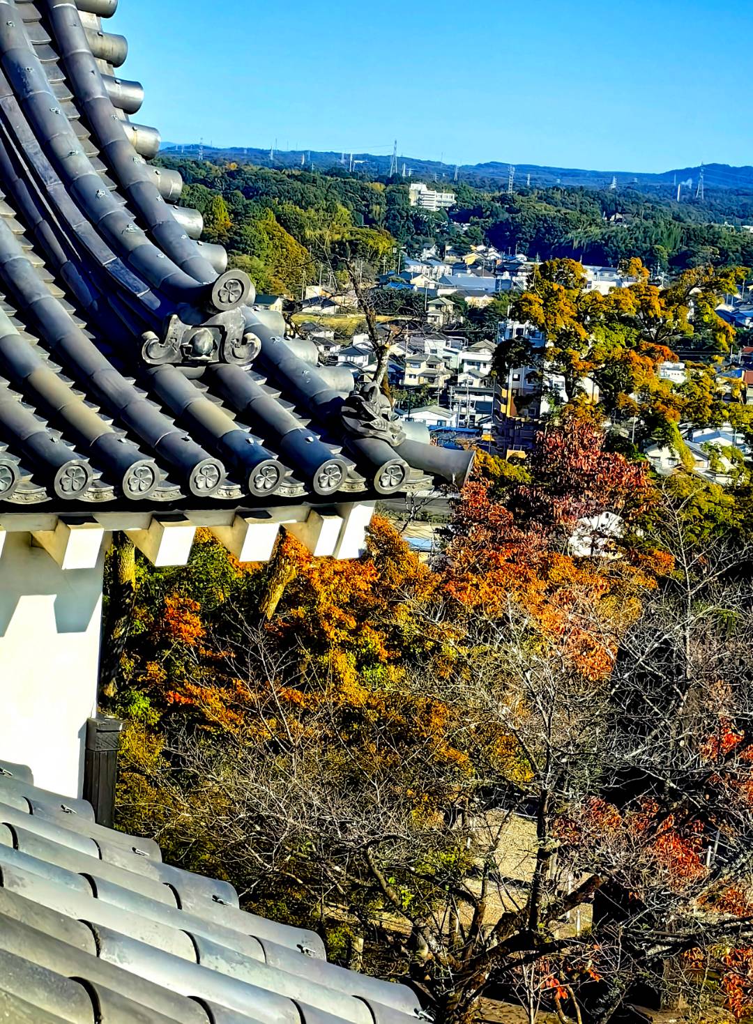 松本城天守阁图片