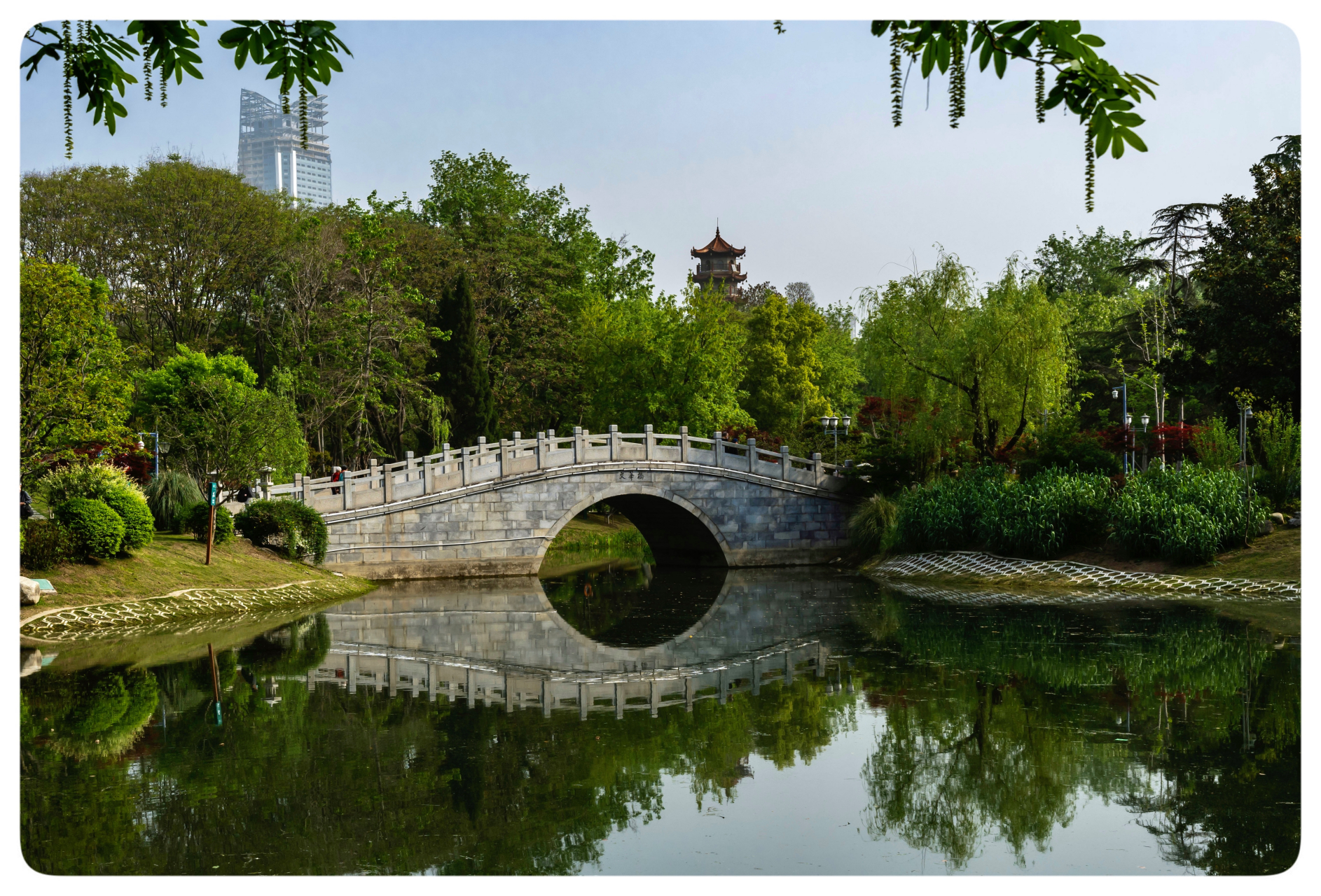 春色满园   汉口解放公园的美景