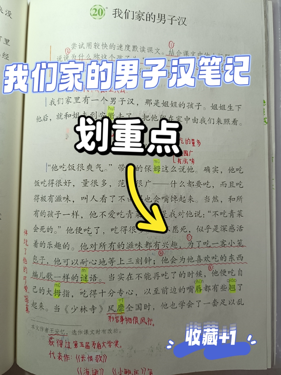 我们家的男子汉课文笔记 四年级语文下册   笔记