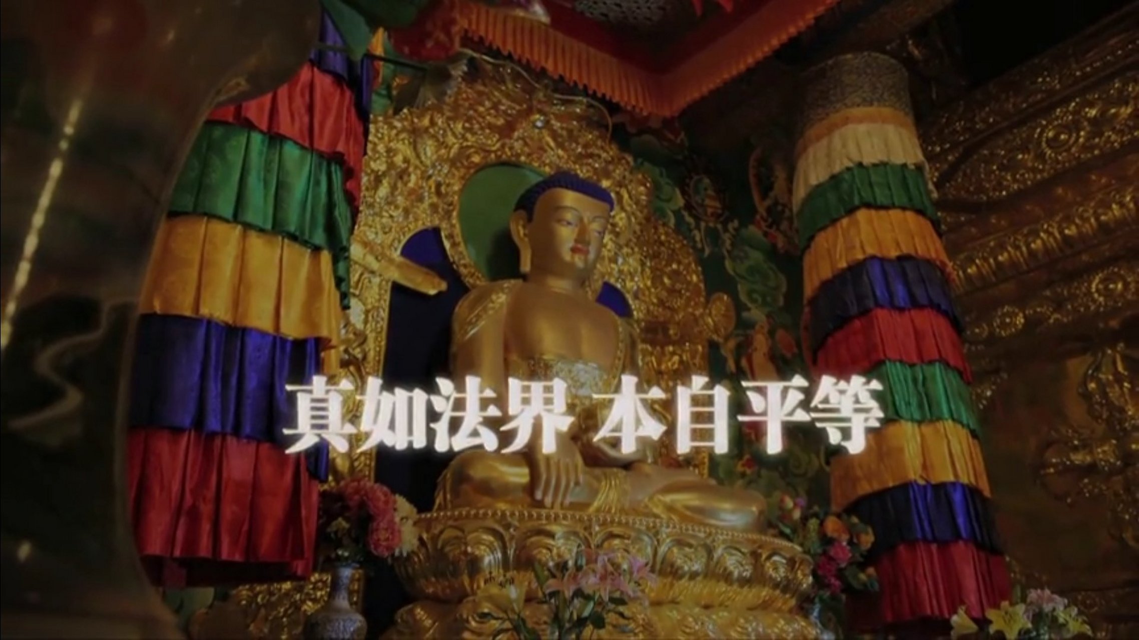 南无清净大海众菩萨