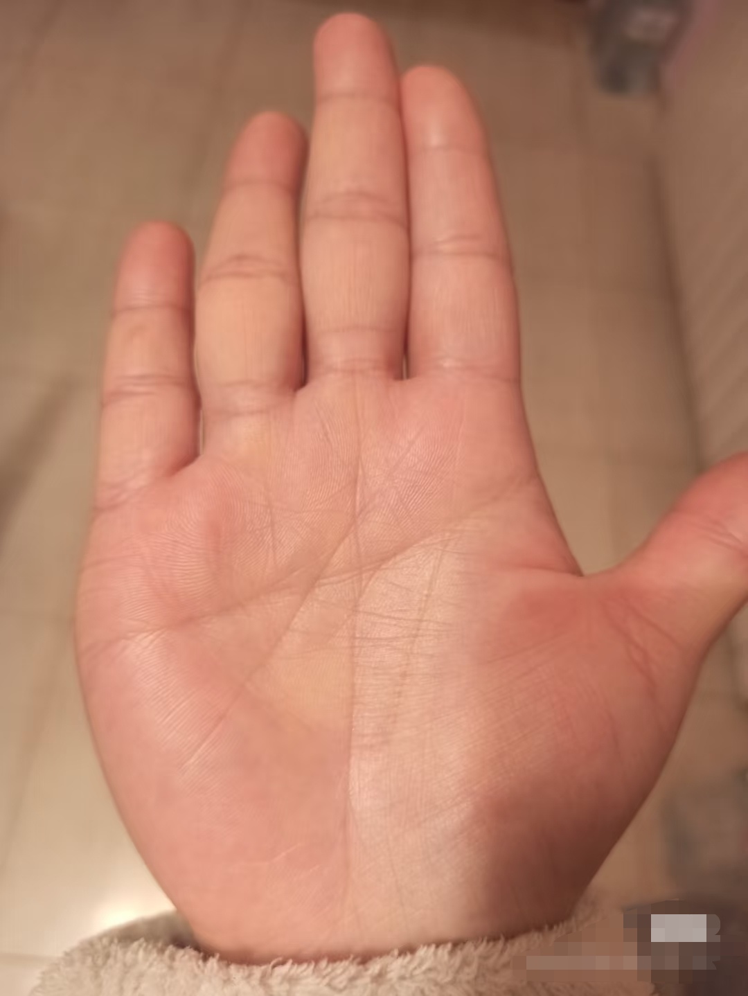 假断掌,感情不顺,事业很好的女手相