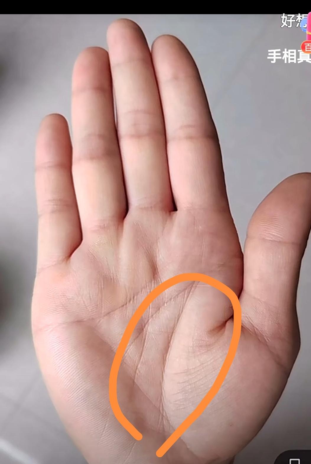 指掌得配,加上标准的元宝纹,存米肯定不少
