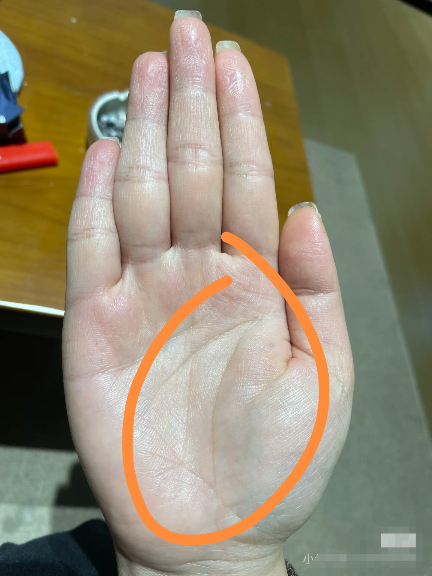 一位开花店的女生,有很标准的元宝纹