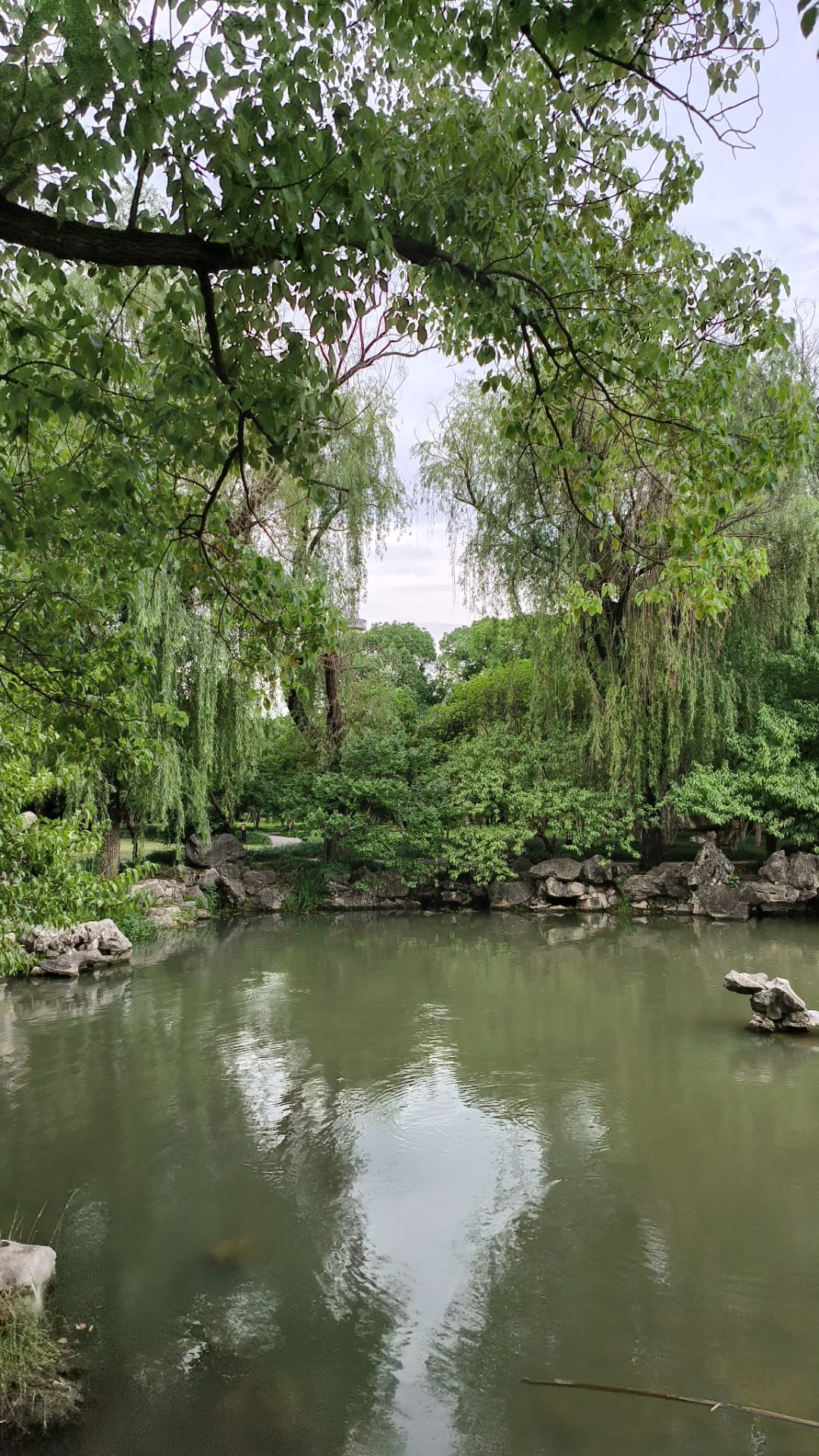 作为松陵城区较大的综合性公园,吴江公园面积较大,园中树木成形,植被