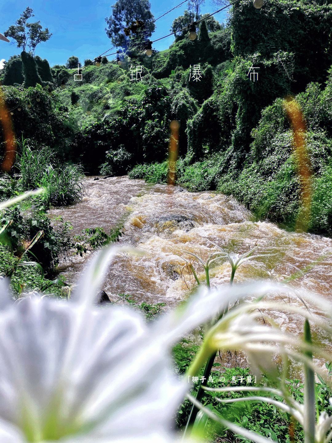 居仁瀑布位于海南临高县皇桐镇居仁村西部附近,距县城以东20公里.
