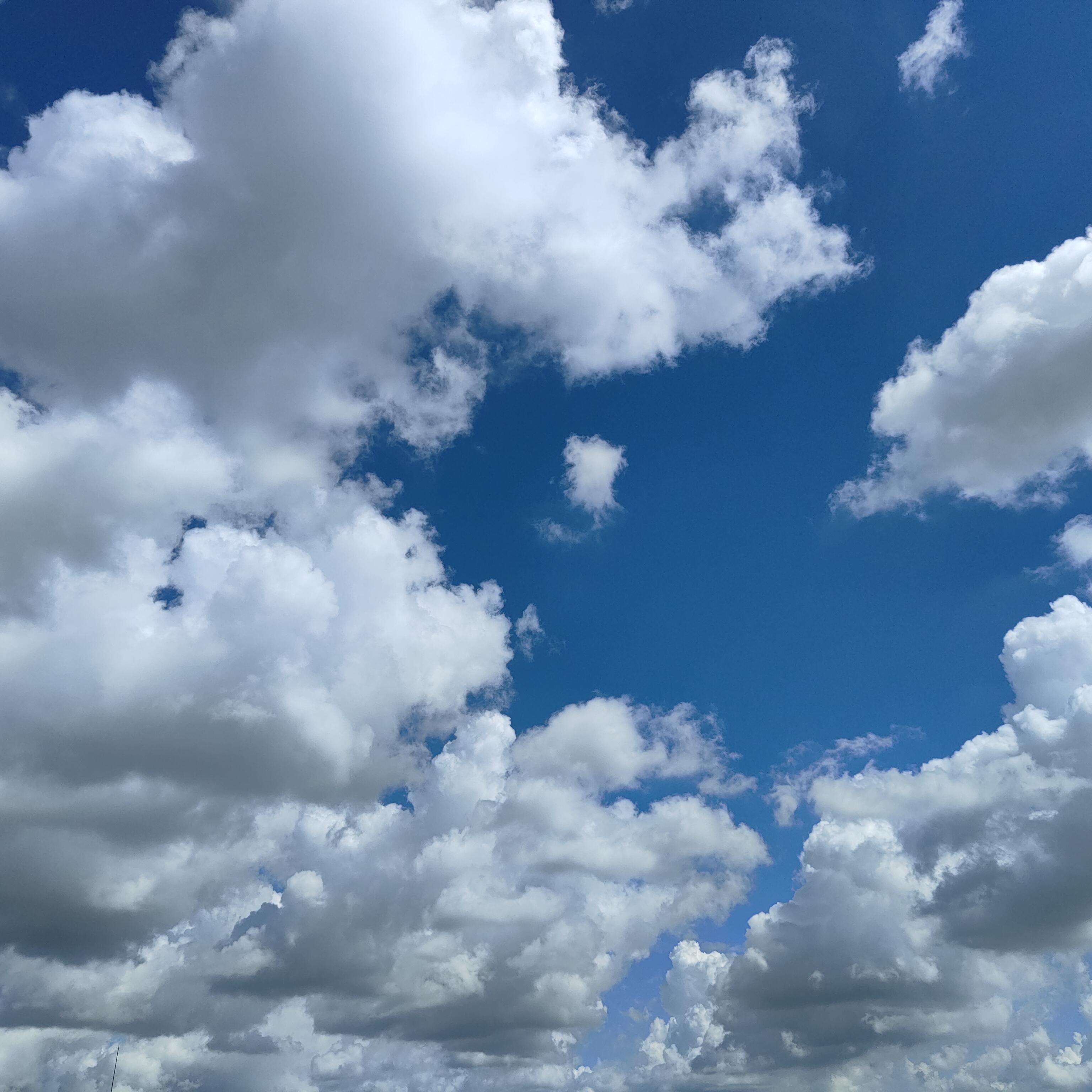 蓝天白云如画,今日心情如诗!生活中的小确幸,莫过于此刻的宁静与美好!