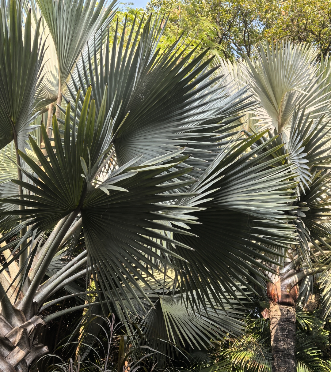 今天我被一个知识"惊掉下巴"