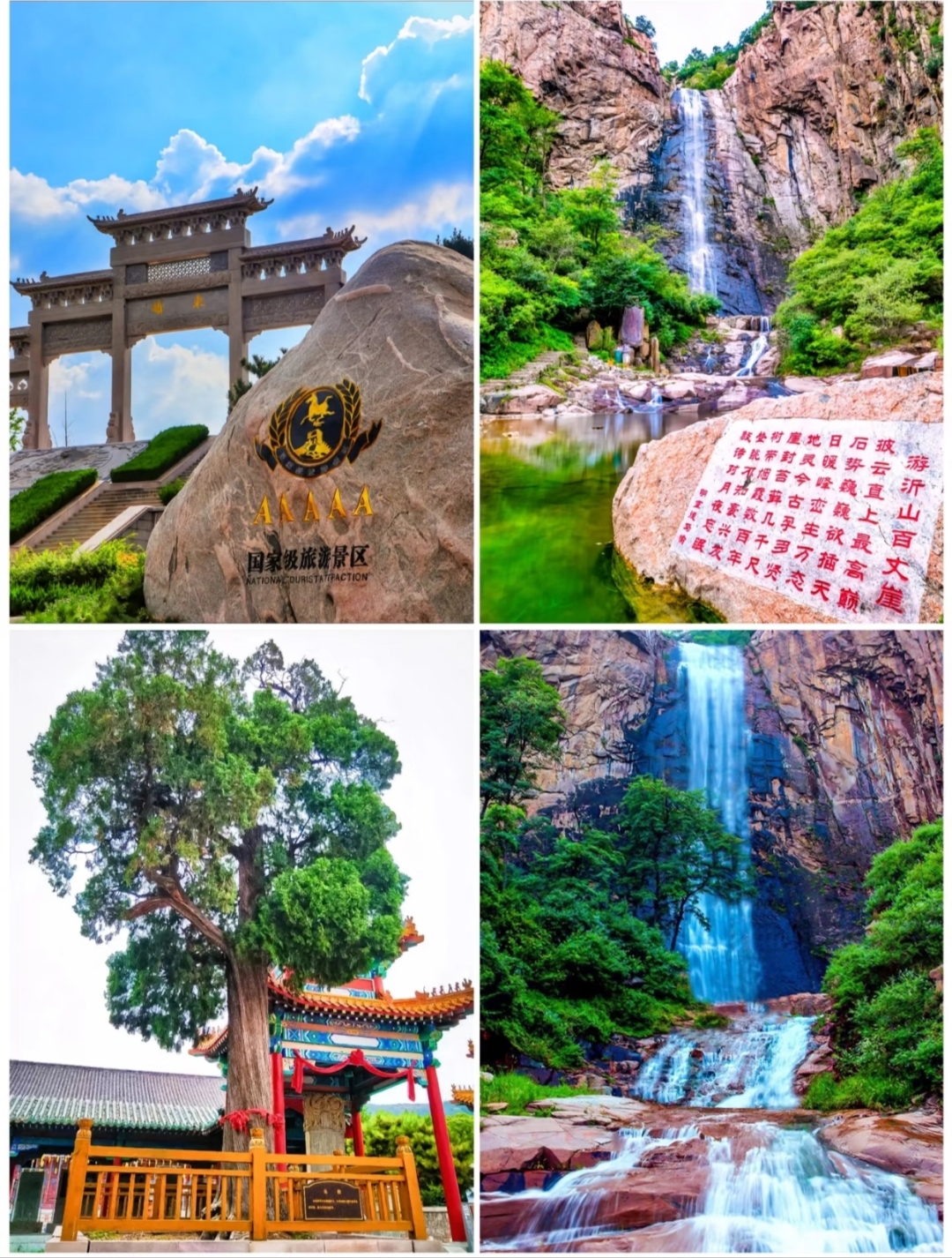 作为一座融合了千年文化与自然风光的城市,山东潍坊给了我太多惊喜