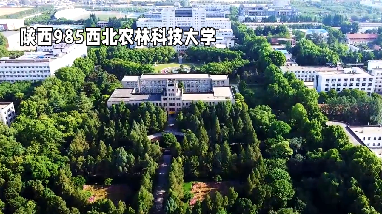 西北农林科技大学,这可真是一所"宝藏大学"啊!
