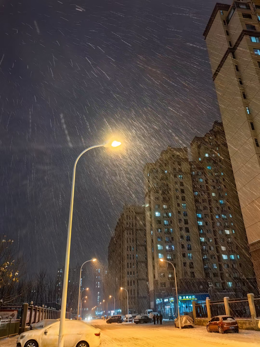 城市下雪的照片图片