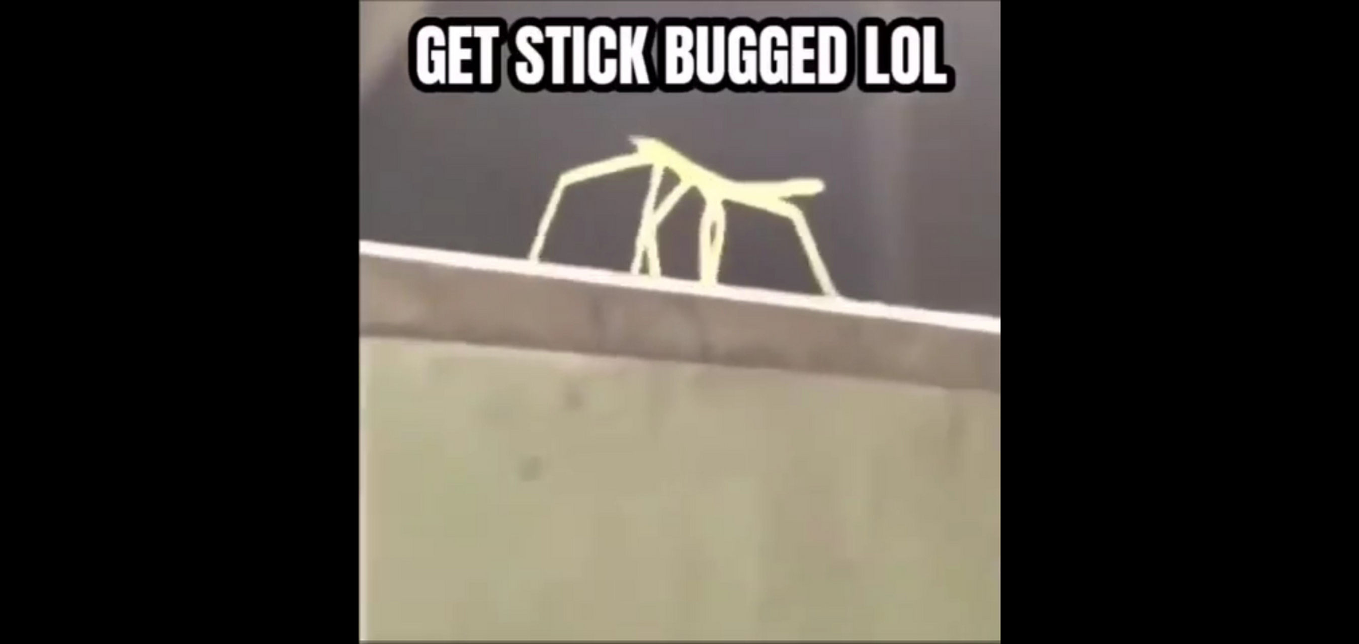 you get stick bugged lol