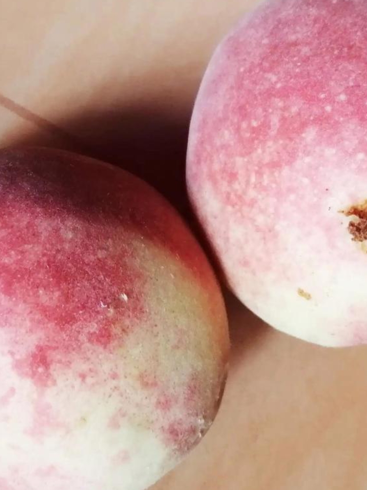 刑事责任方面:邻居广播喊话告知桃子打药的行为,已