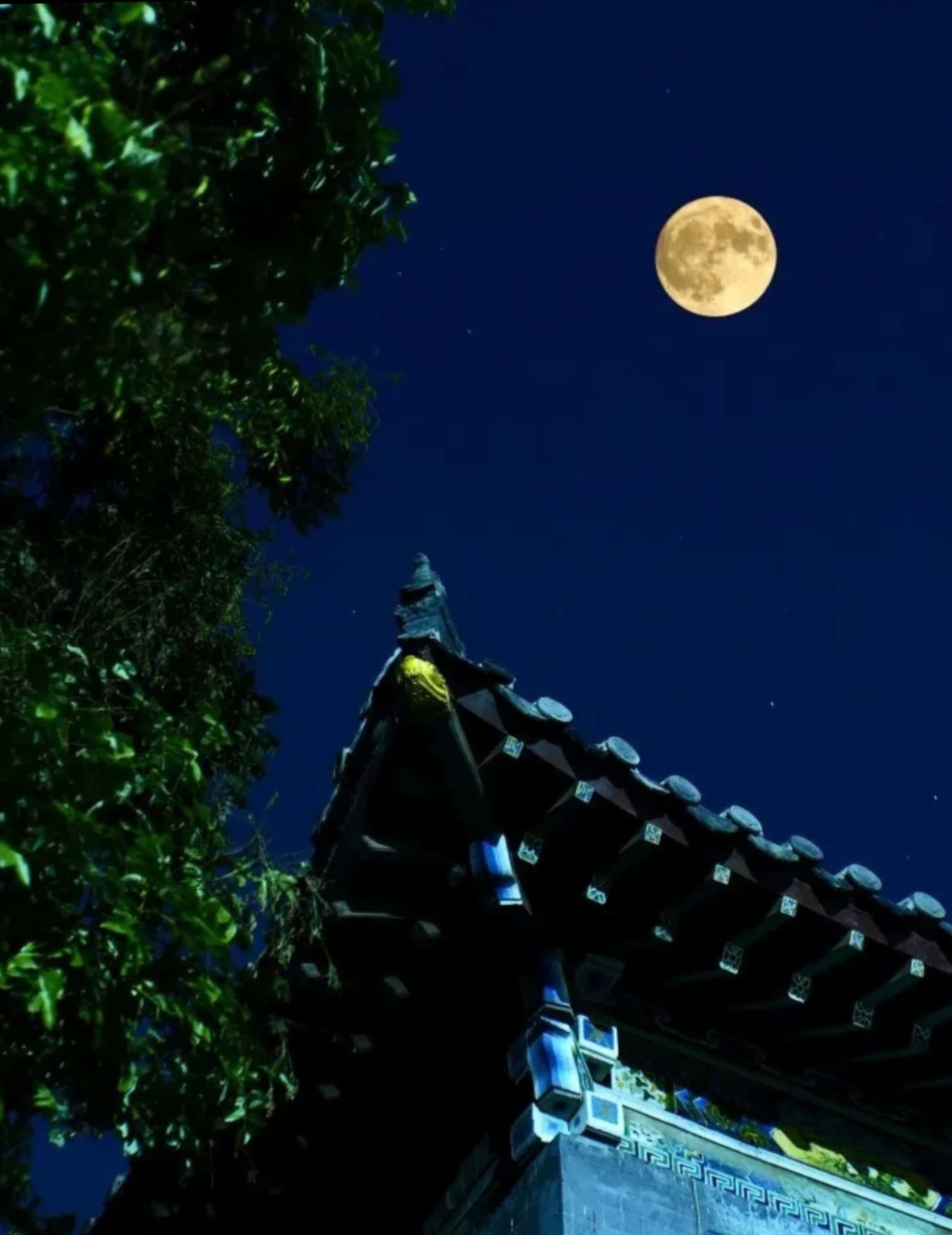 月下千家围宴聚, 房空独我倚窗恬. 回首往事终皆苦, 咀味前缘不觉甜