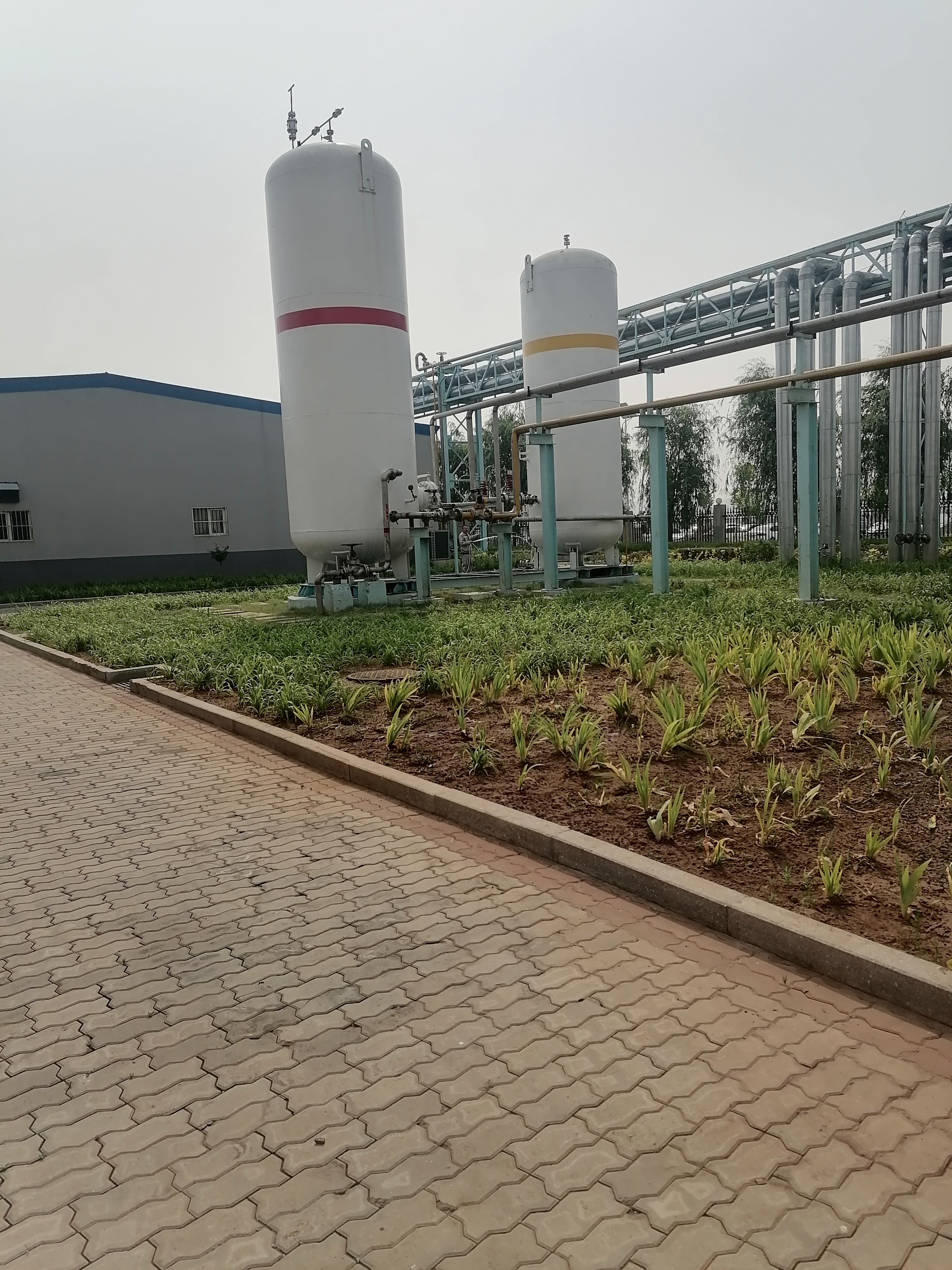 登高下坑哪都去,一壶白酒缓疲惫.#我的创作高光