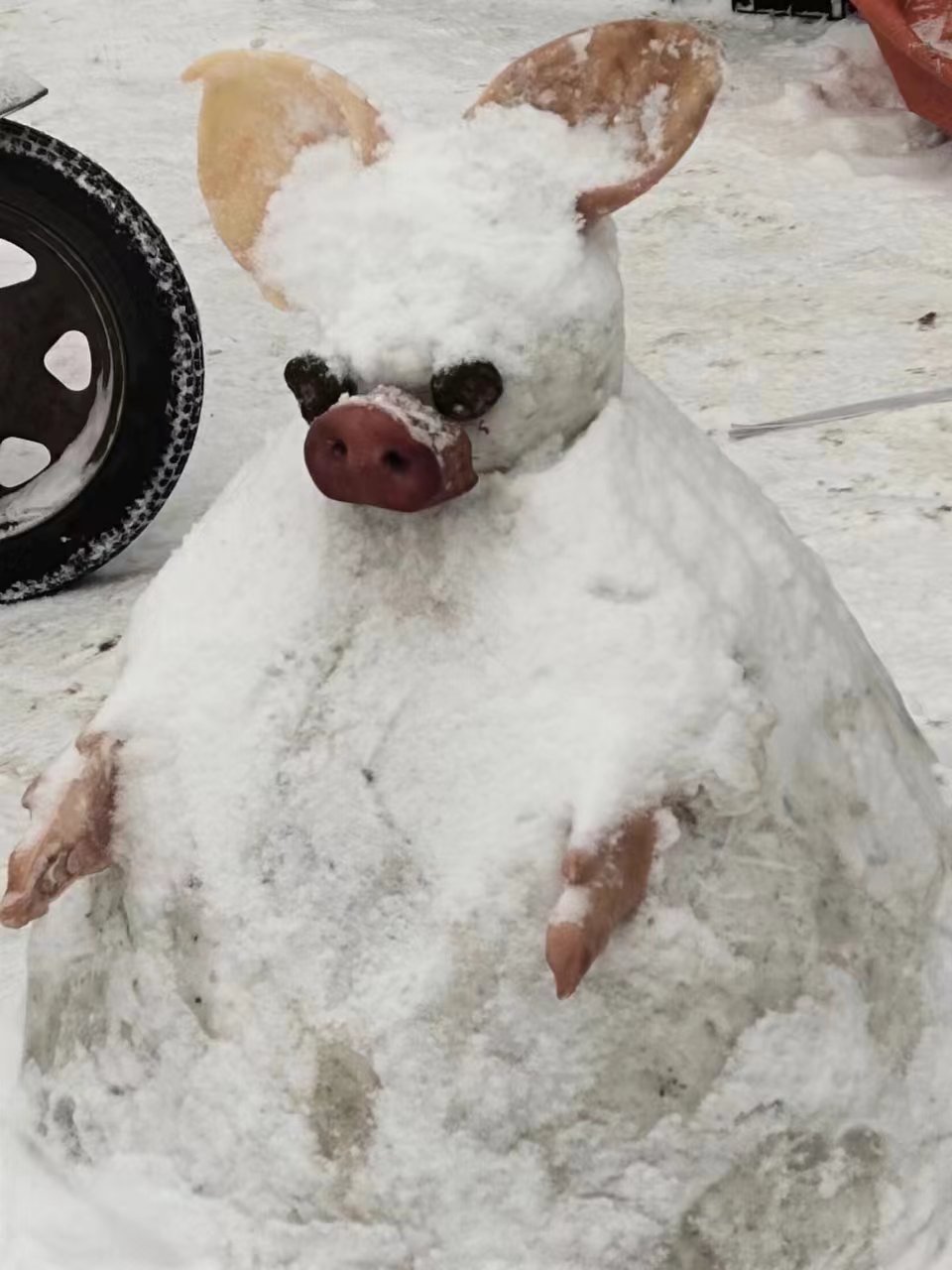 简单堆雪猪图片大全图片