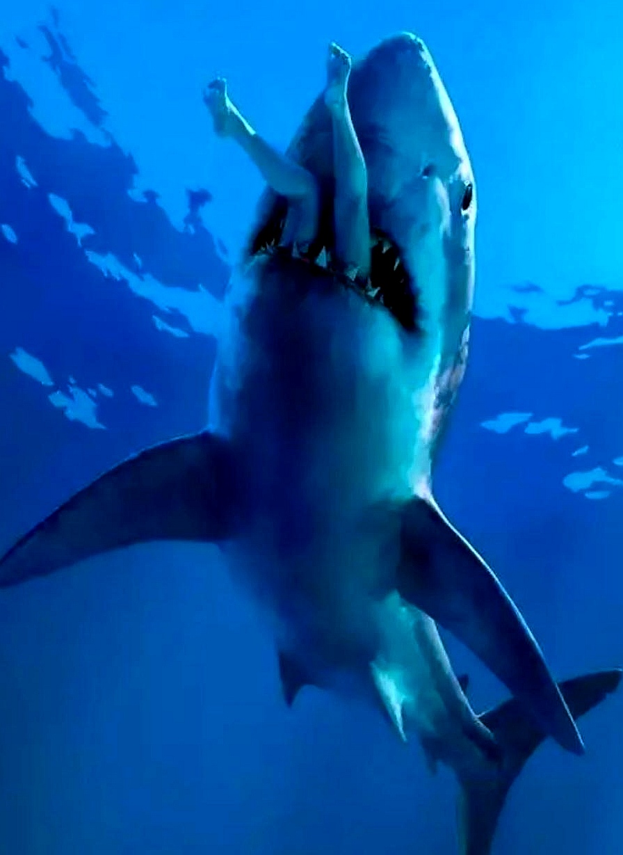 这硕大的鲨鱼直接生吞人的恐怖瞬间,看到这一幕心肝都在发颤,看得我直