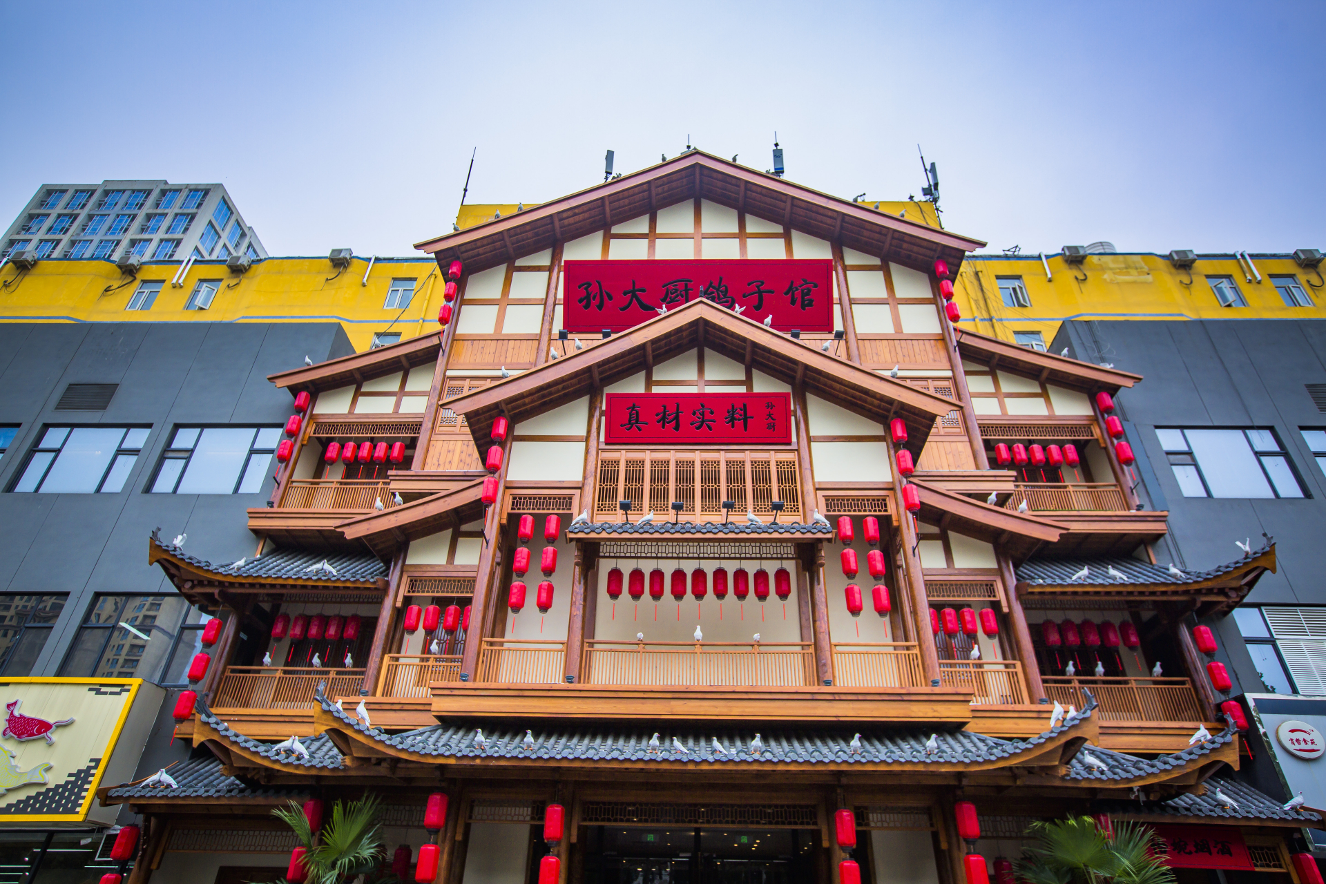 夏日游玩指南# #我的美食分享# 孙大厨鸽子馆天山店开业啦!