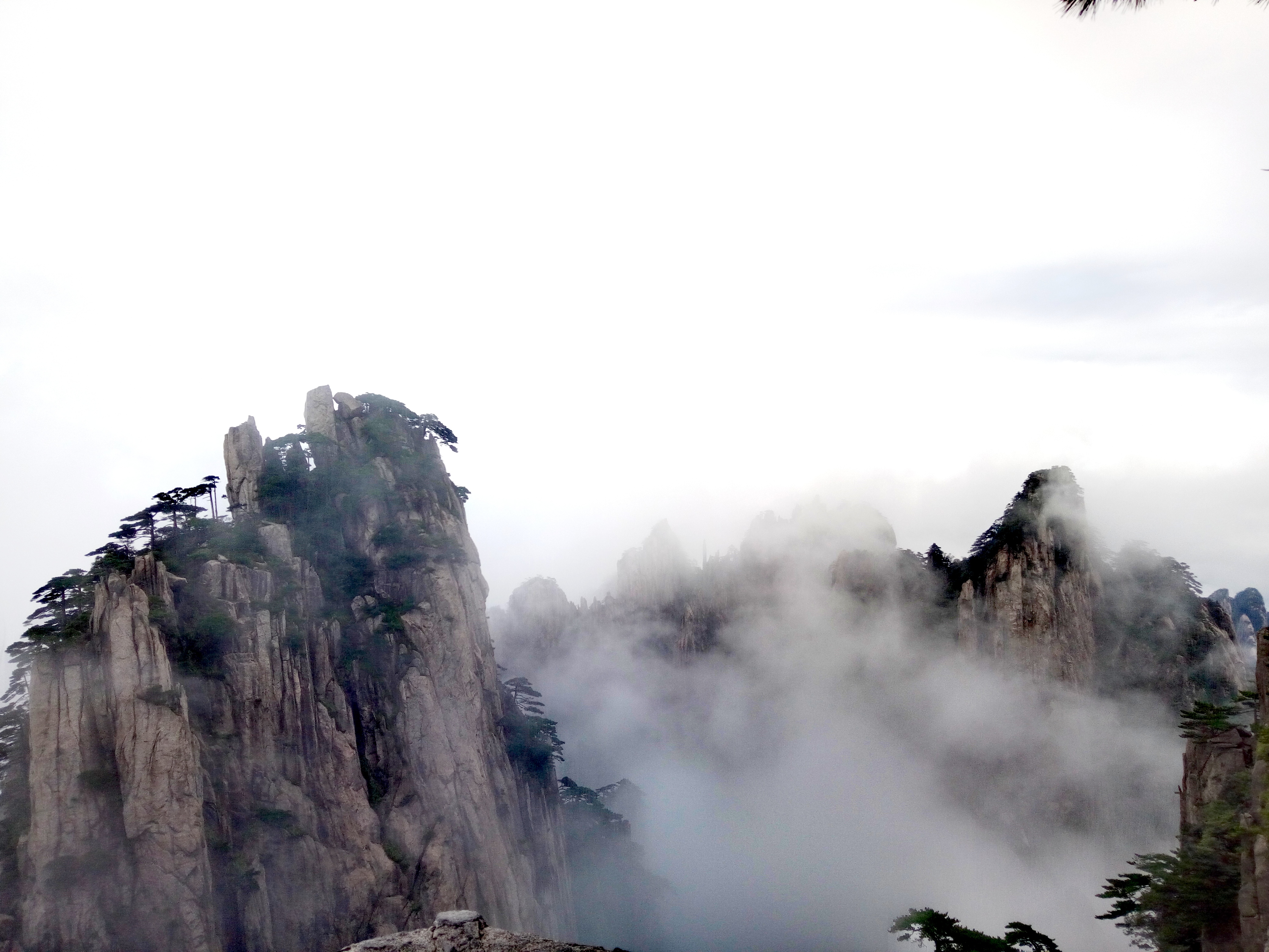 雨中云雾缭绕的黄山图片