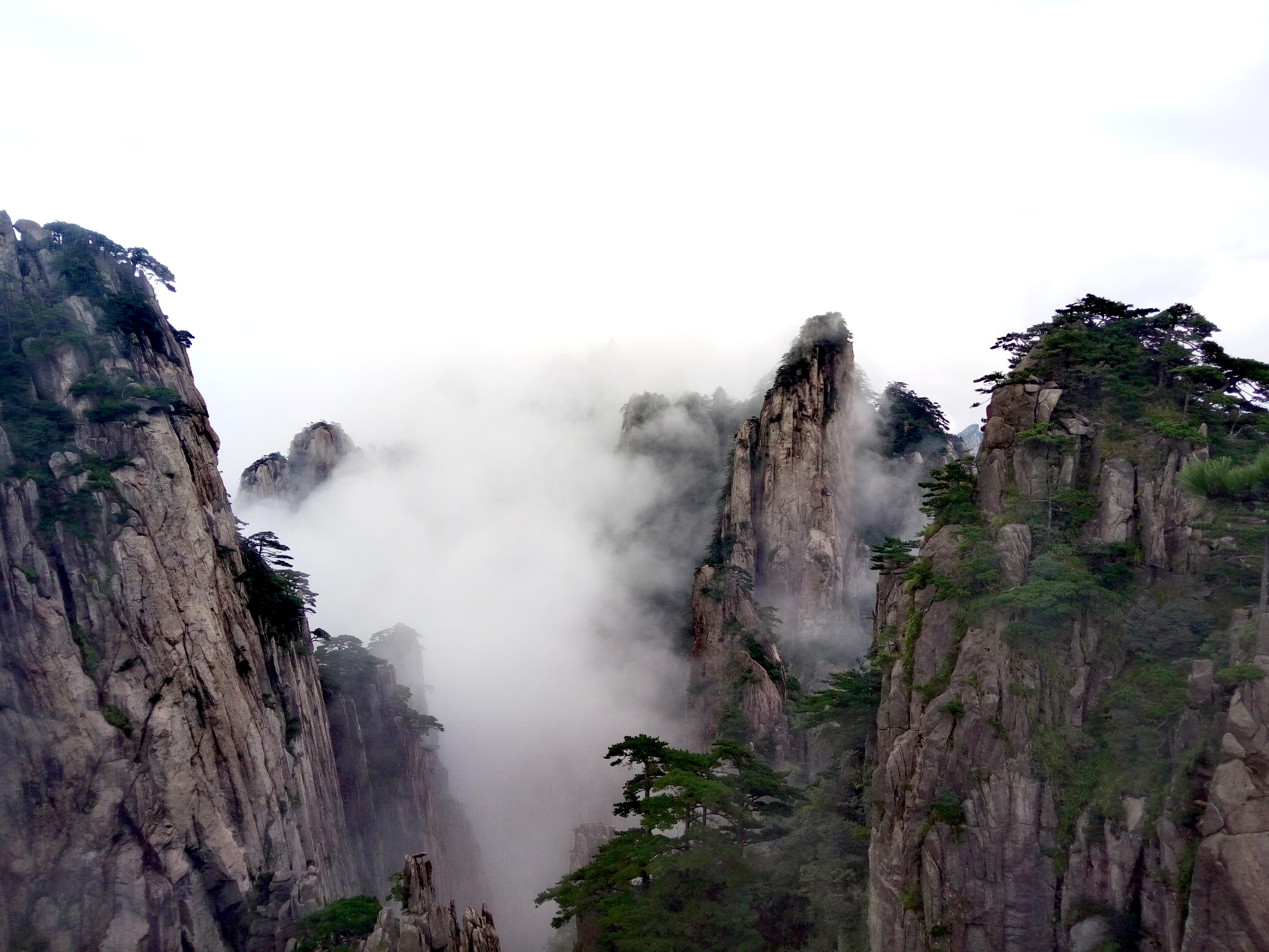 雨中云雾缭绕的黄山图片