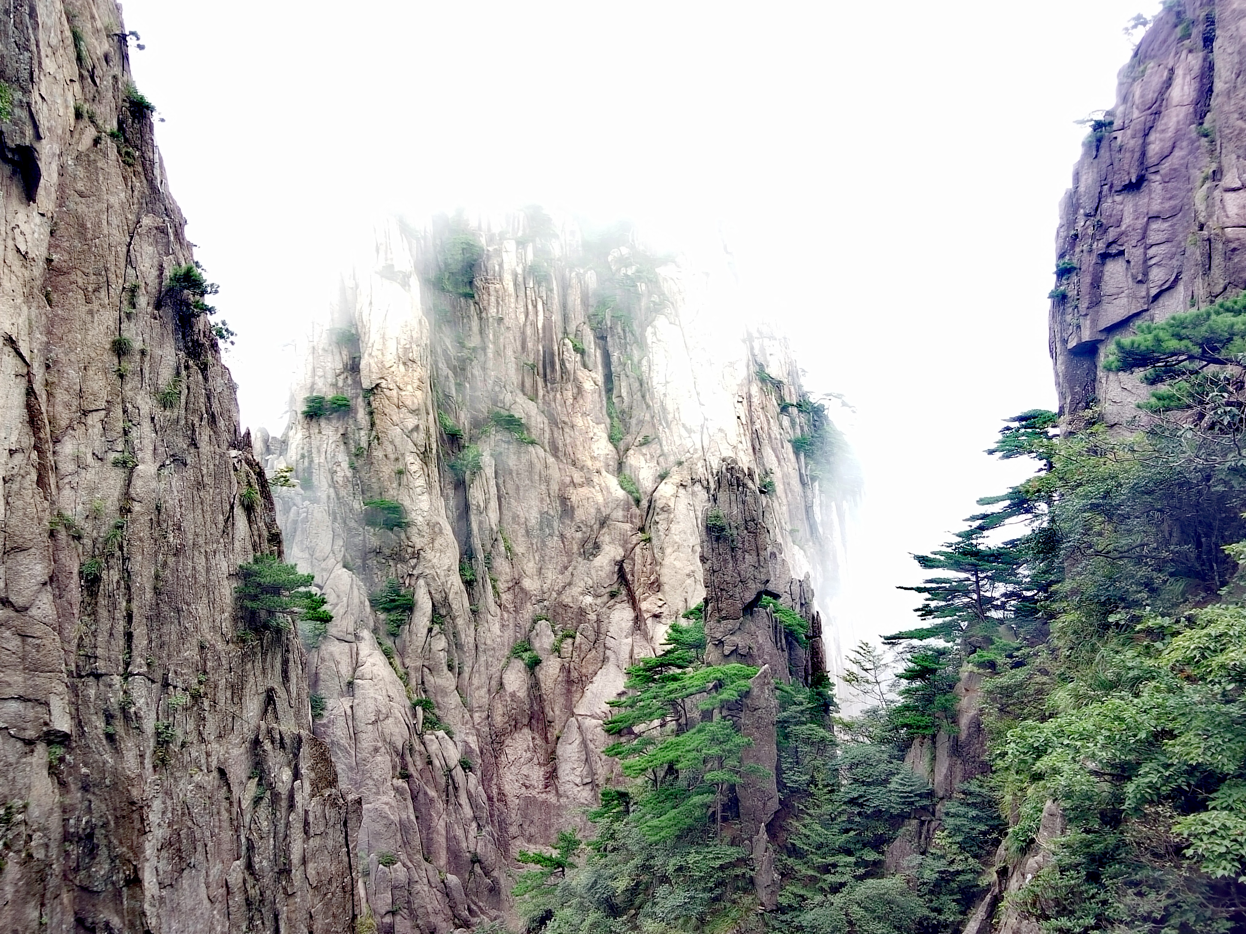 雨中云雾缭绕的黄山图片