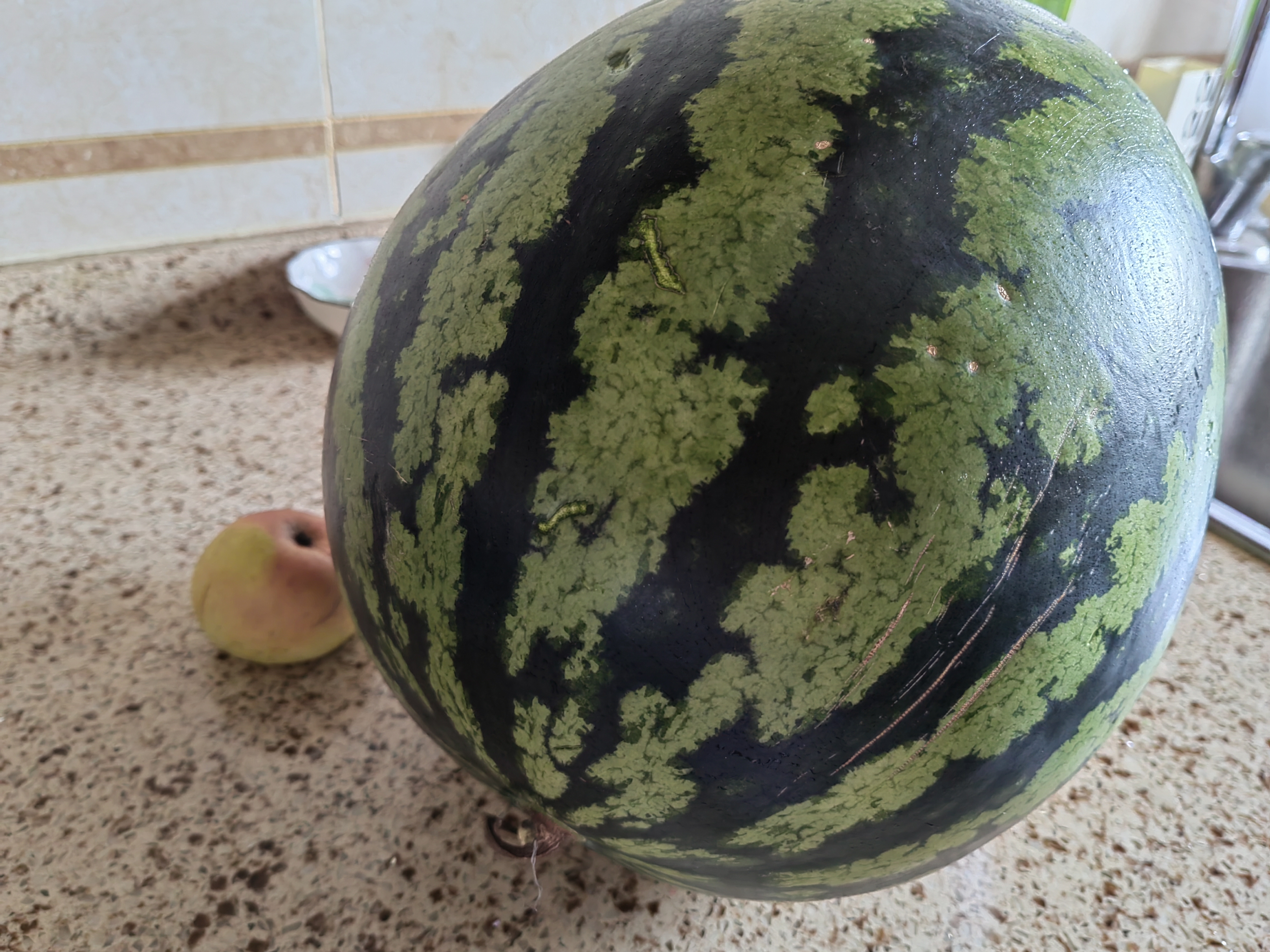 夏日炎炎,满怀期待打开这个大西瓜,这种西瓜个头可真大,少说有20斤,初