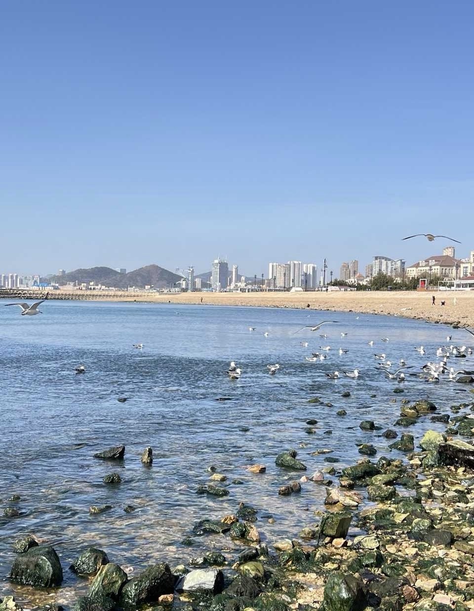 他的未来规划没有我,是不是不应该在浪费时间 我能