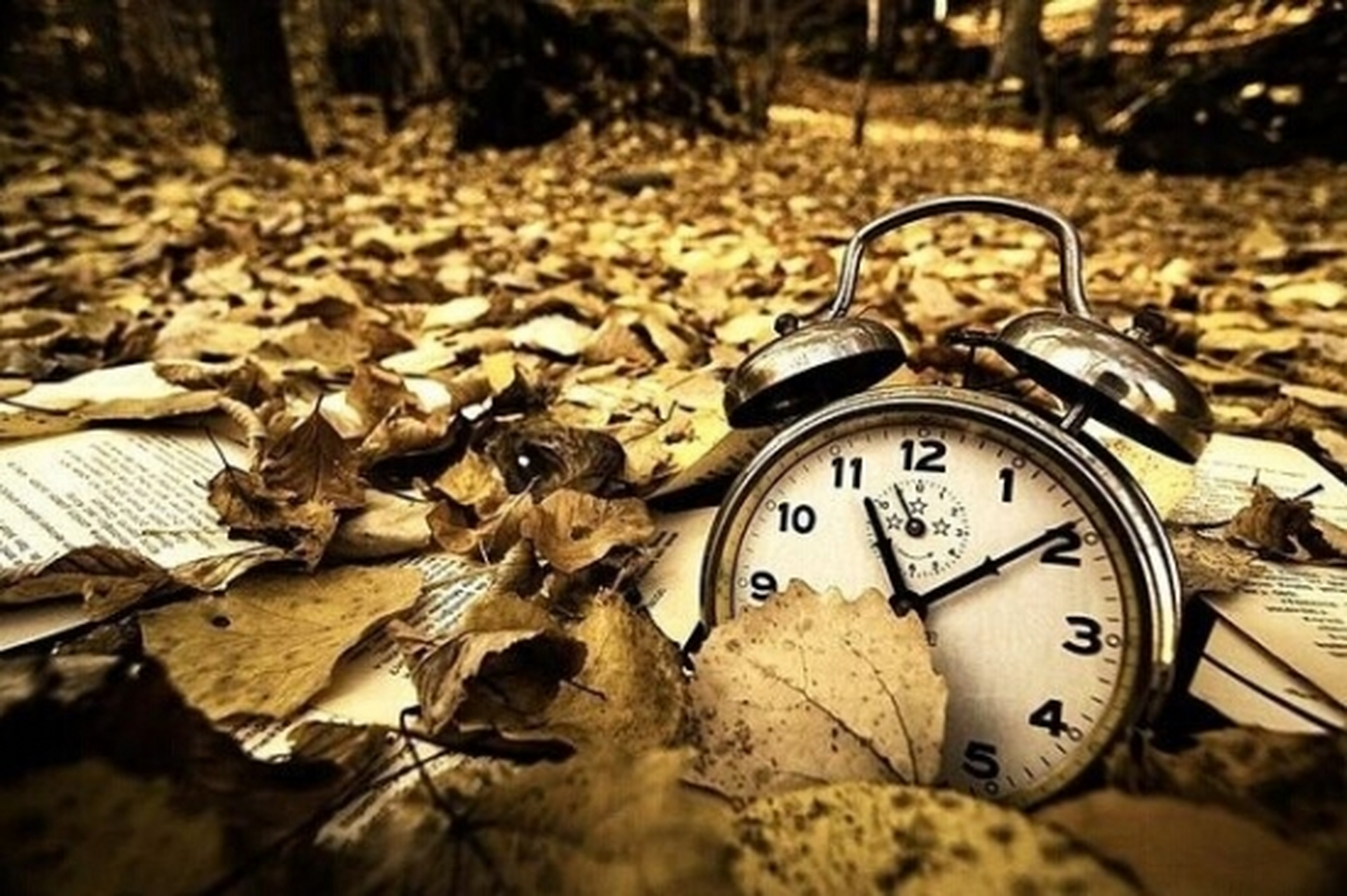 《岁月如刀》 作者:刘一支笔  记得小时候 我还很可爱 人见人爱 玩皮