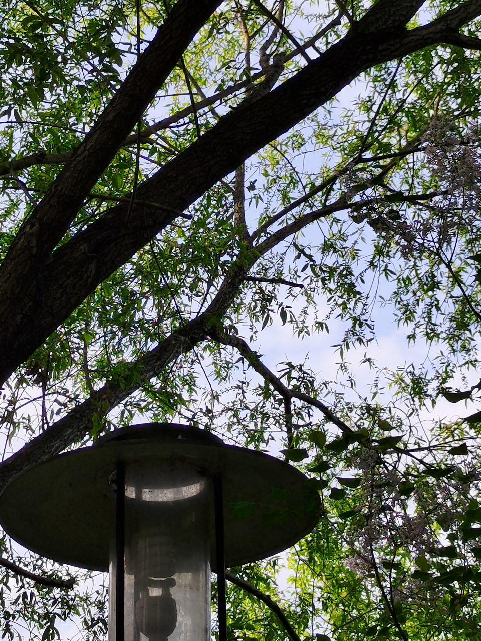 黑河棒棒哒,随拍王肃街附近一景!