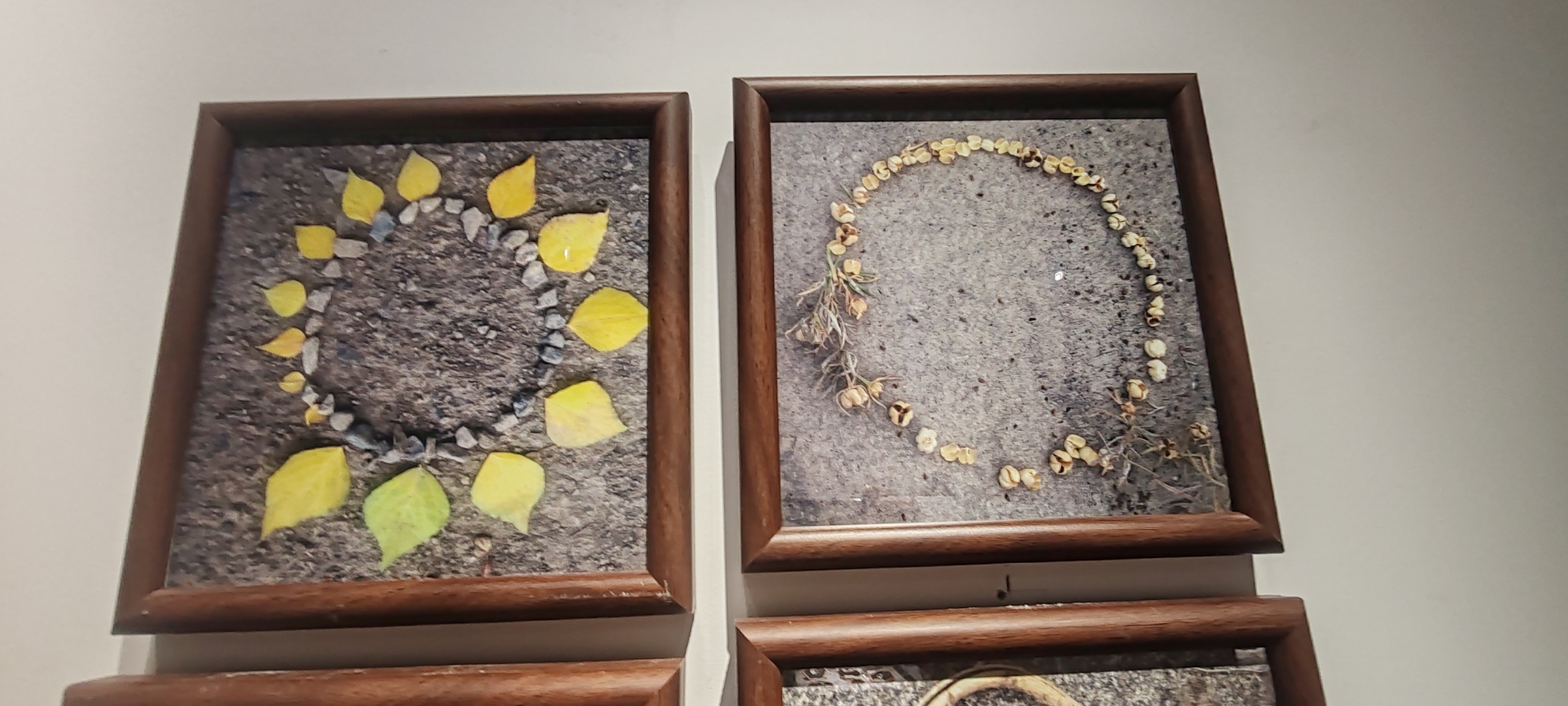 艺术家在地上捡起一些石头树叶就可以拼凑出来图画,可以挂在美术馆