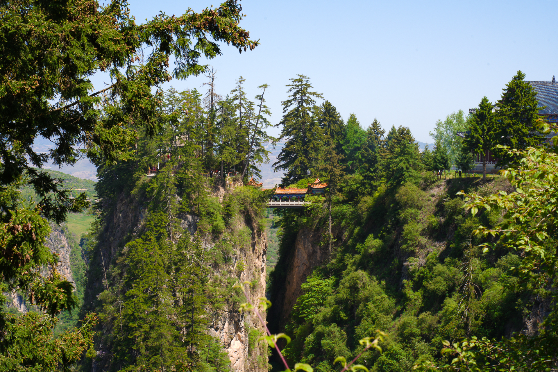 没想到在陇中青藏高原东端,秦岭西端与黄土高原交汇的巨大沟槽地带