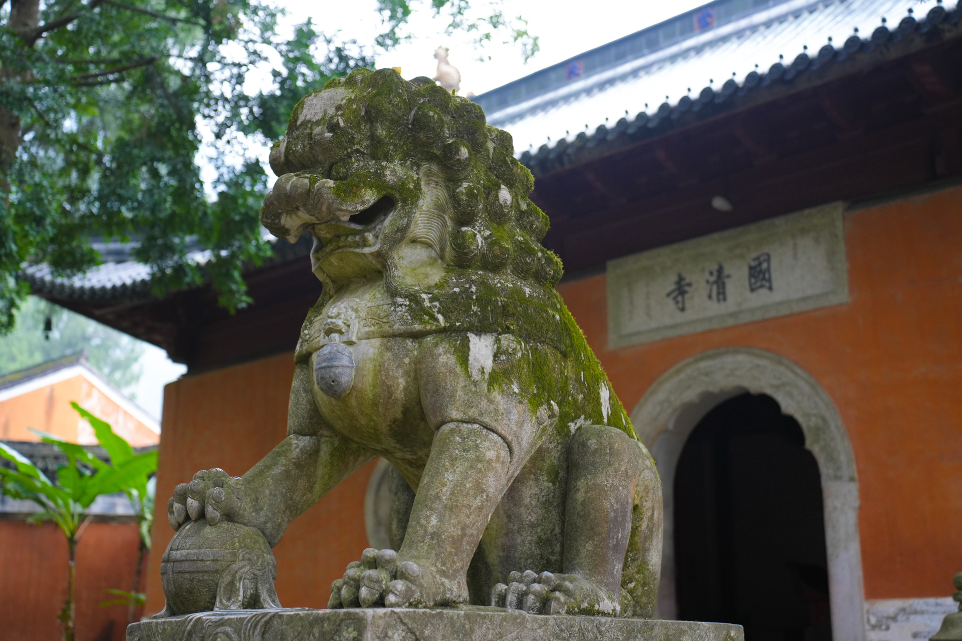 天台山国清寺,被称为中国最美,最清净的寺庙已有一千四百多年历史