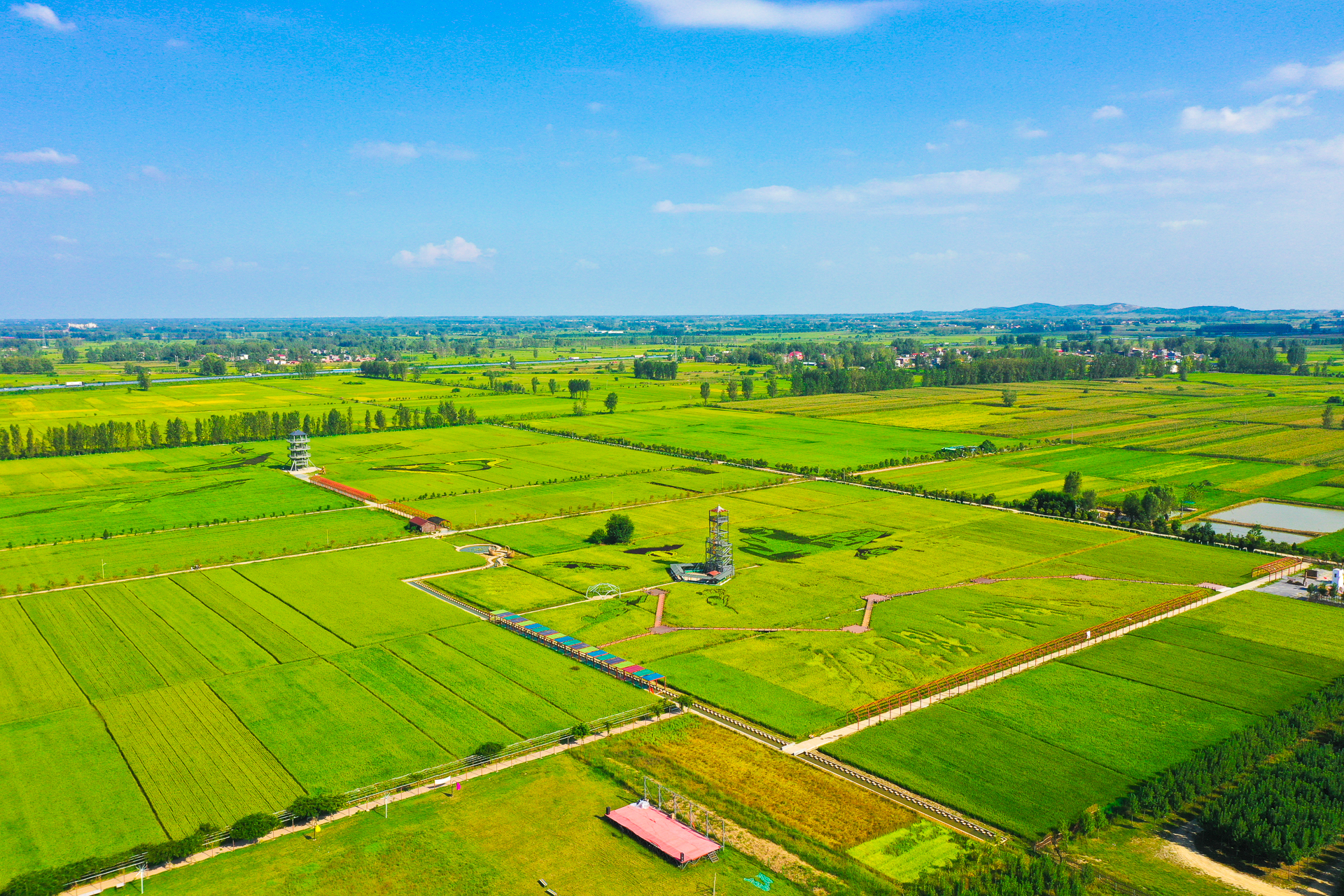 驻马店留庄稻田公园是一个必打卡的景点,你有见过在稻田上作画吗?